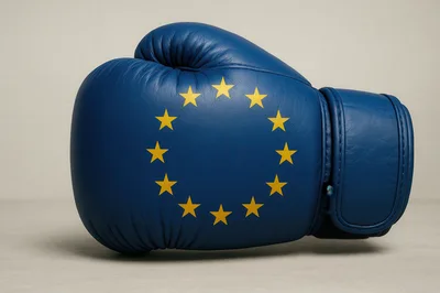 European Union Flag Pattern Boxing Glove