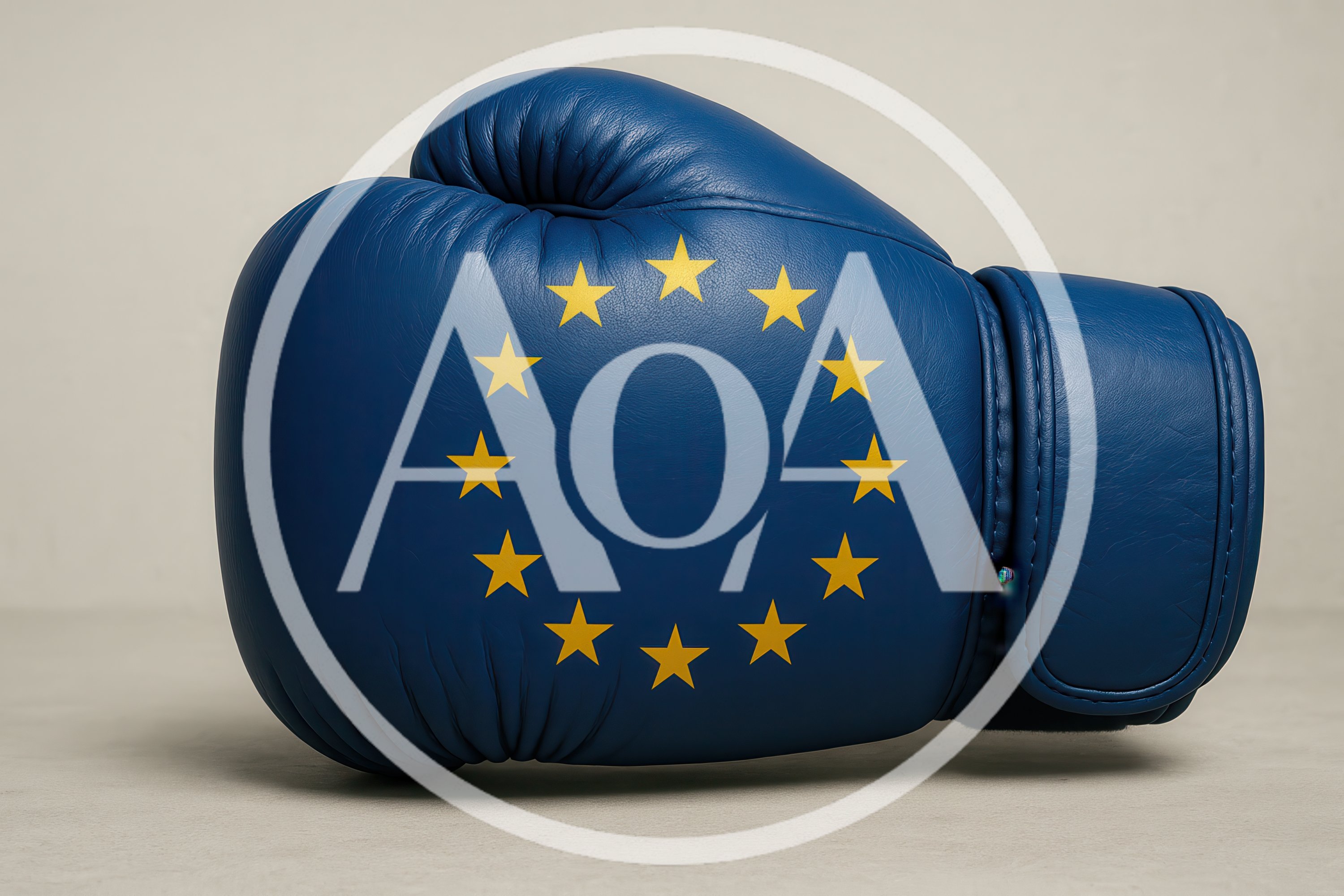 European Union Flag Pattern Boxing Glove