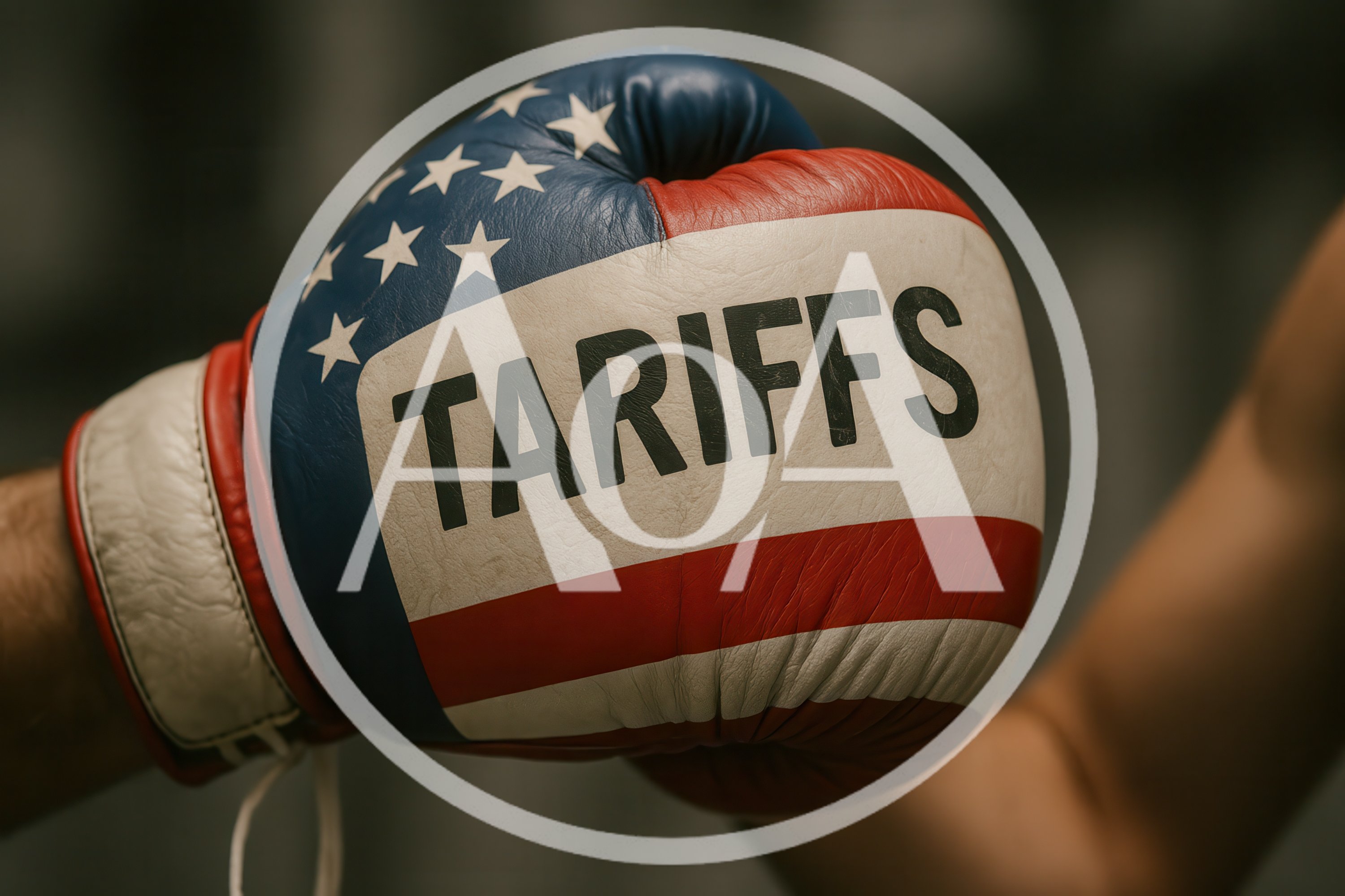 Boxing Glove With American Flag Design And Tariffs Text