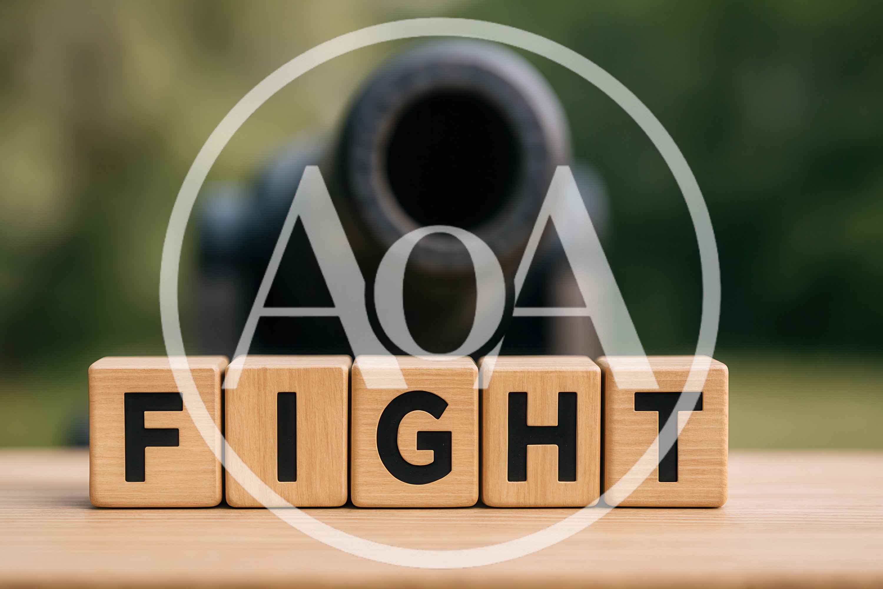 Wooden Blocks Spelling Fight In Front Of A Cannon