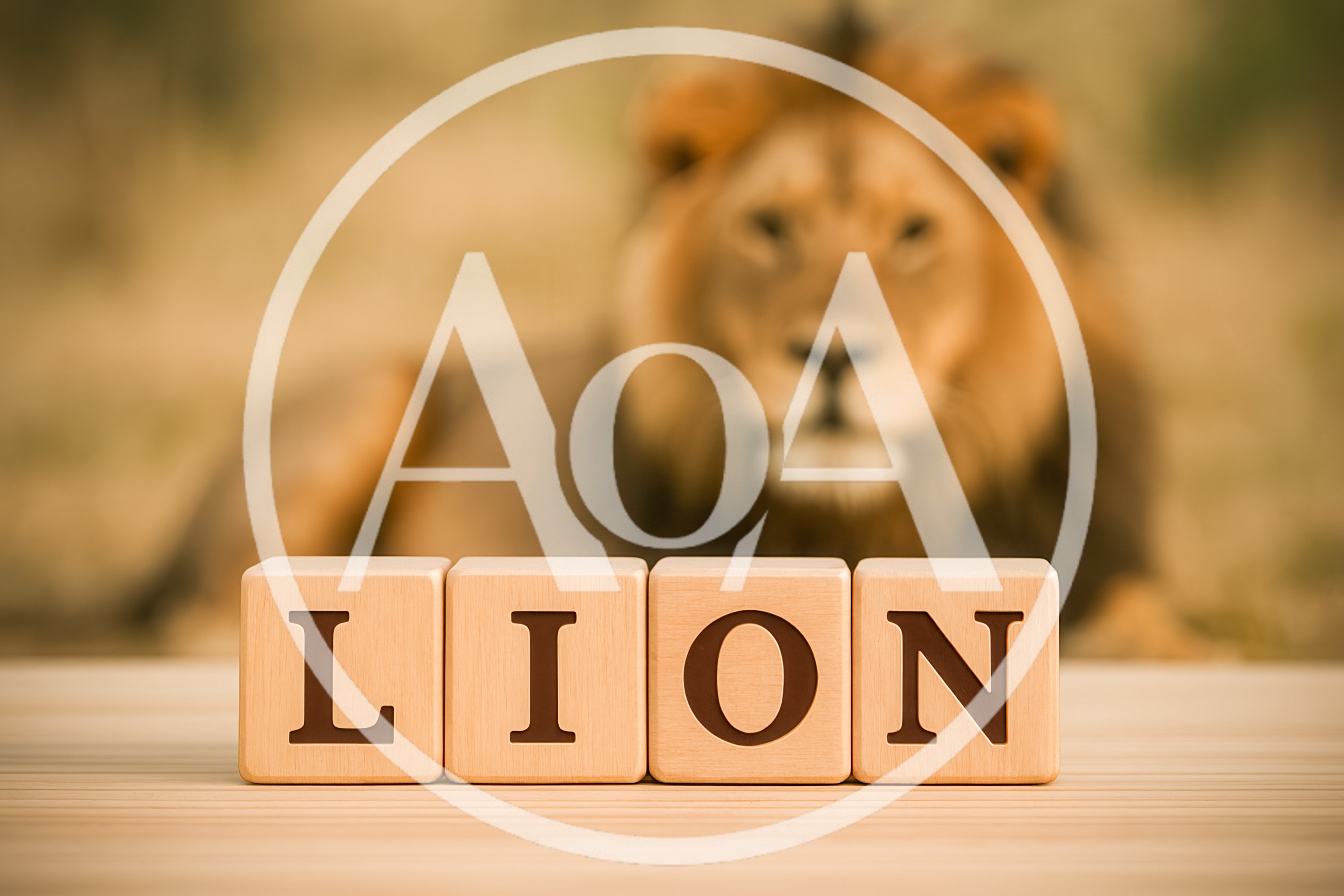 Wooden Blocks Spelling Lion With Blurred Lion Background