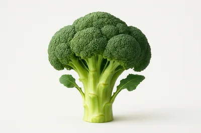 Fresh Green Broccoli Head Isolated On White Background