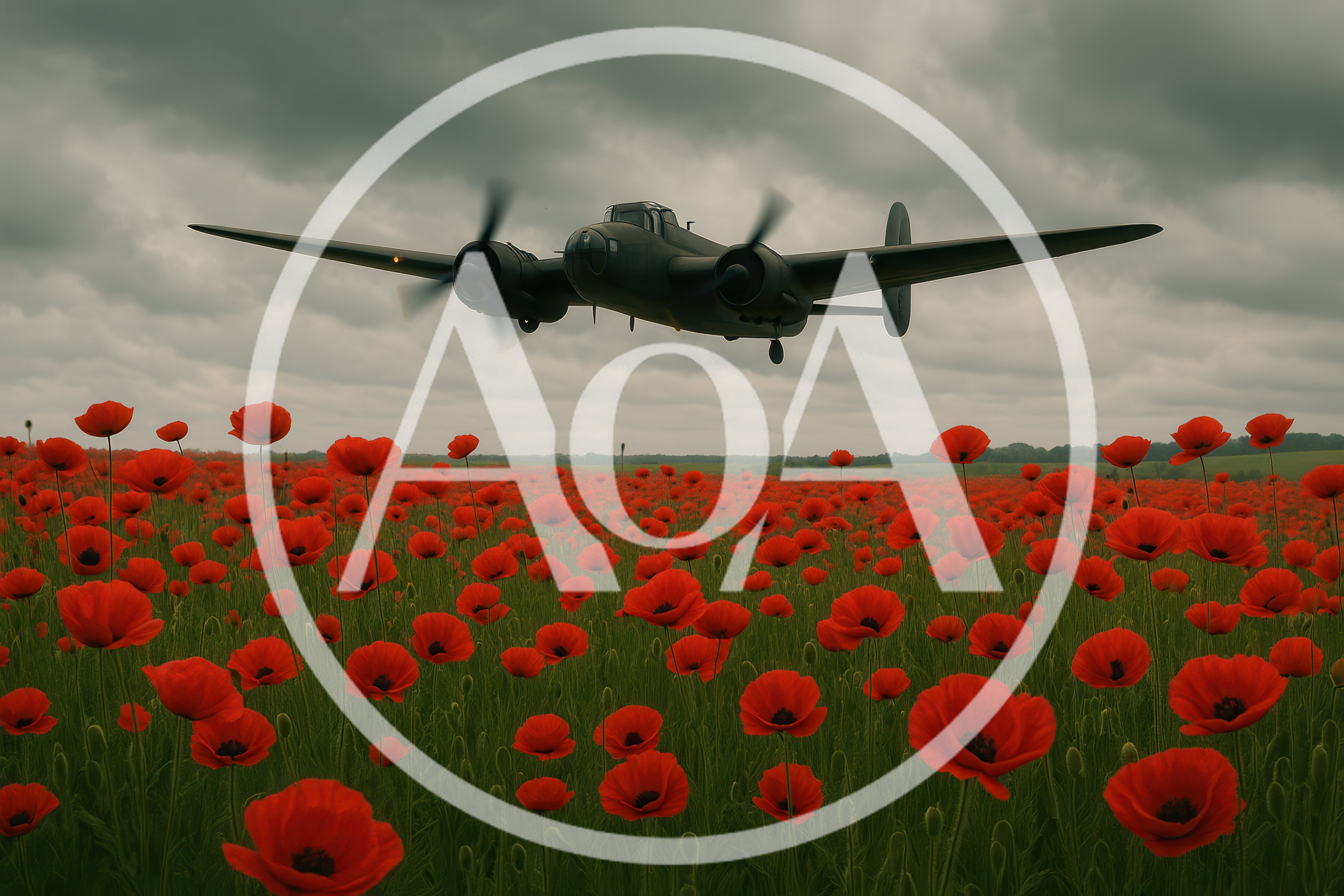 Vintage World War II Bomber Flying Over Poppy Field