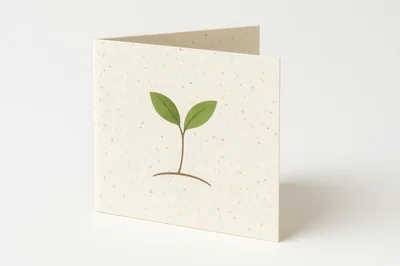 Minimalist Seedling Illustration On Recycled Paper Greeting Card