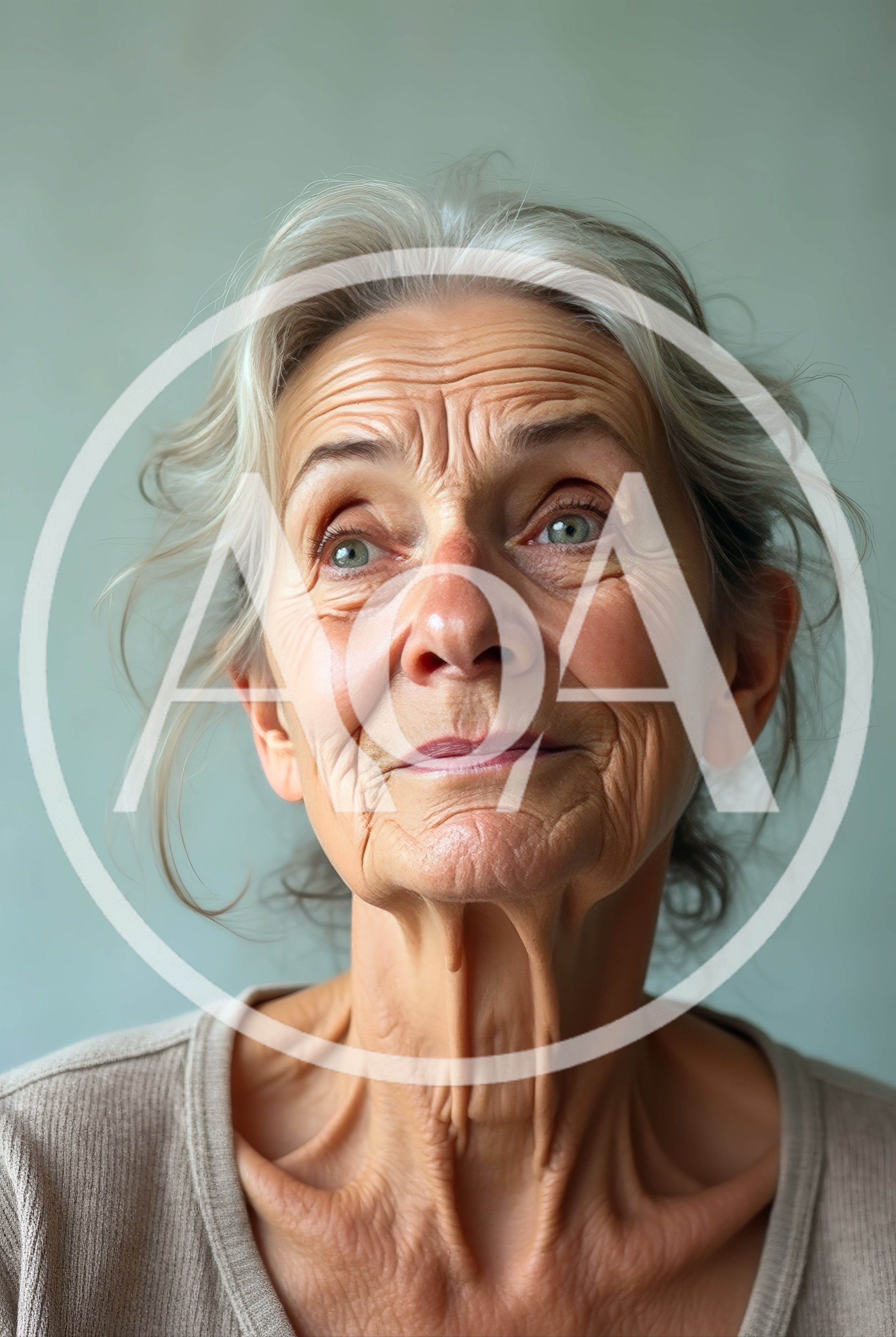 Portrait Of An Elderly Woman With Silver Hair