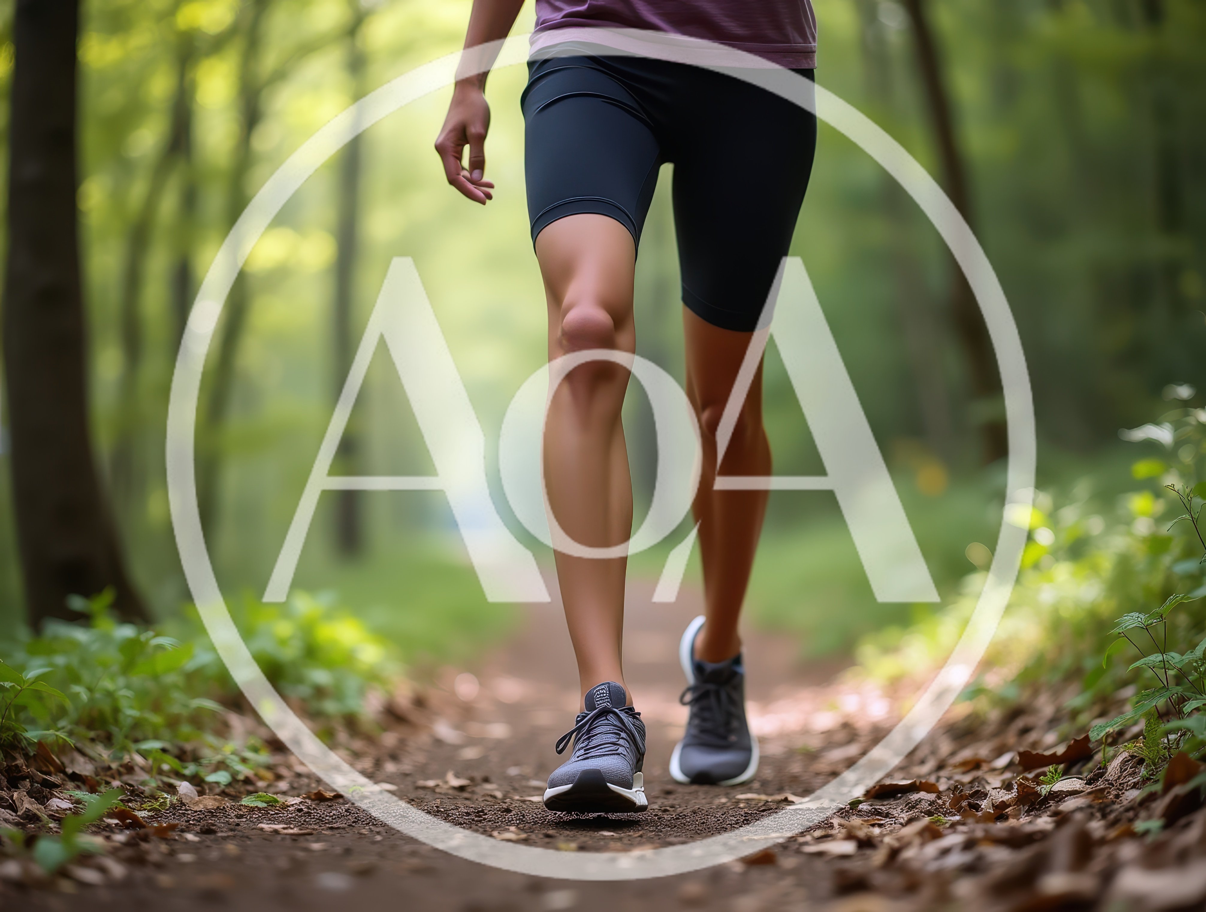 Person Walking Along A Forest Trail