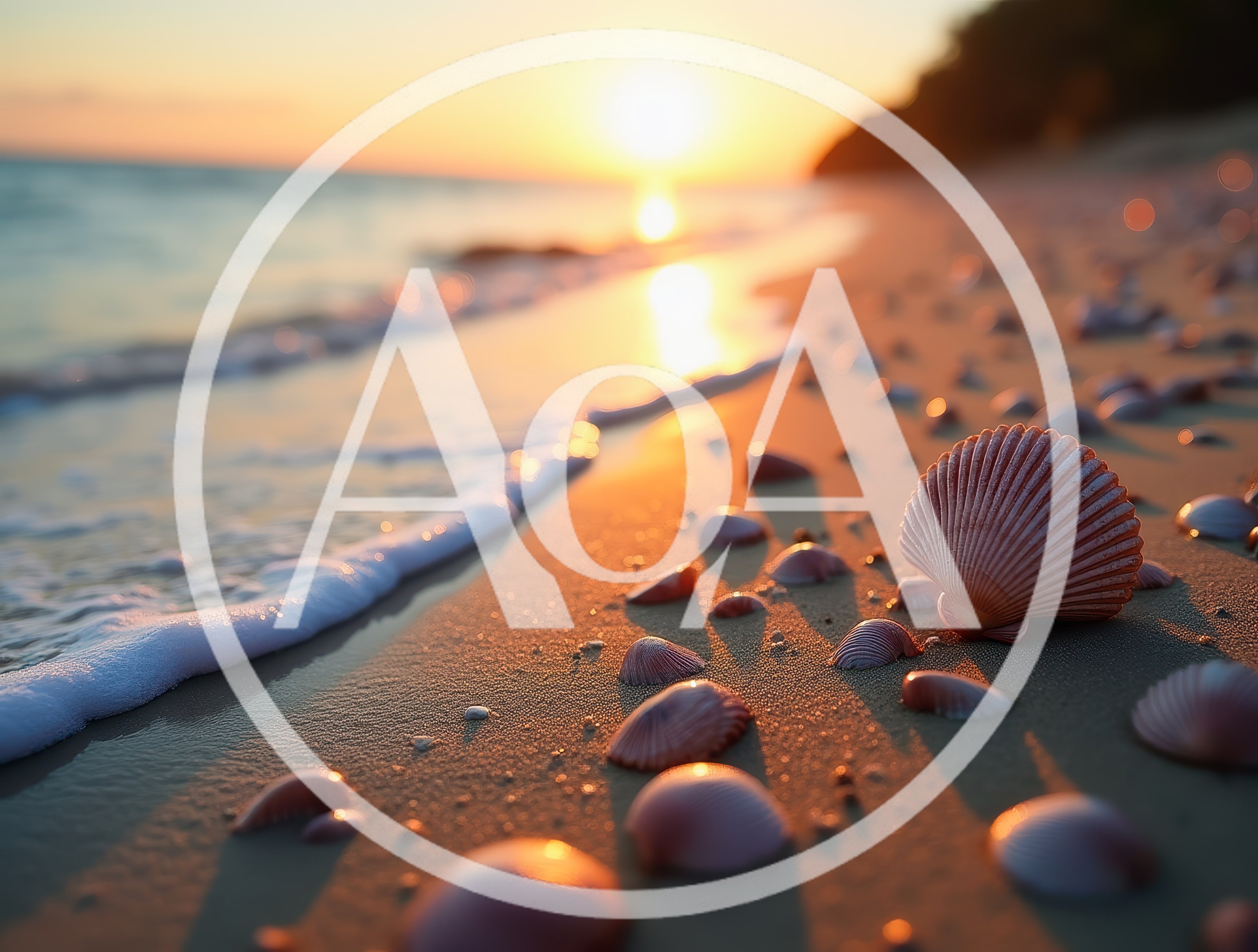 Seashells Scattered Along A Sandy Beach At Sunset