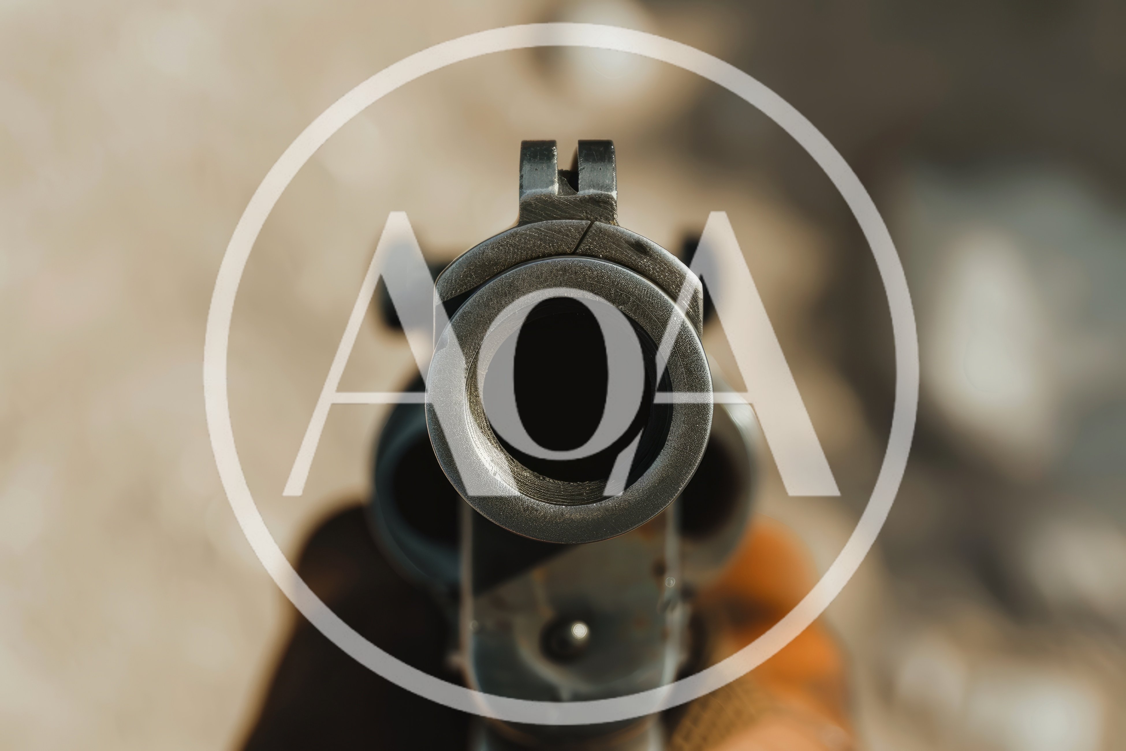 First Person View Of A Revolver Barrel