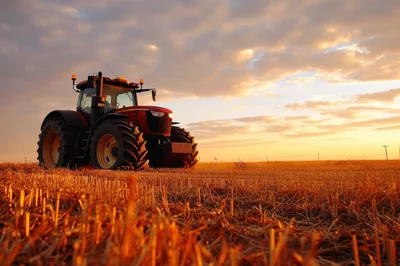 Red Tractor Standing In A Harvested Field At Sunset