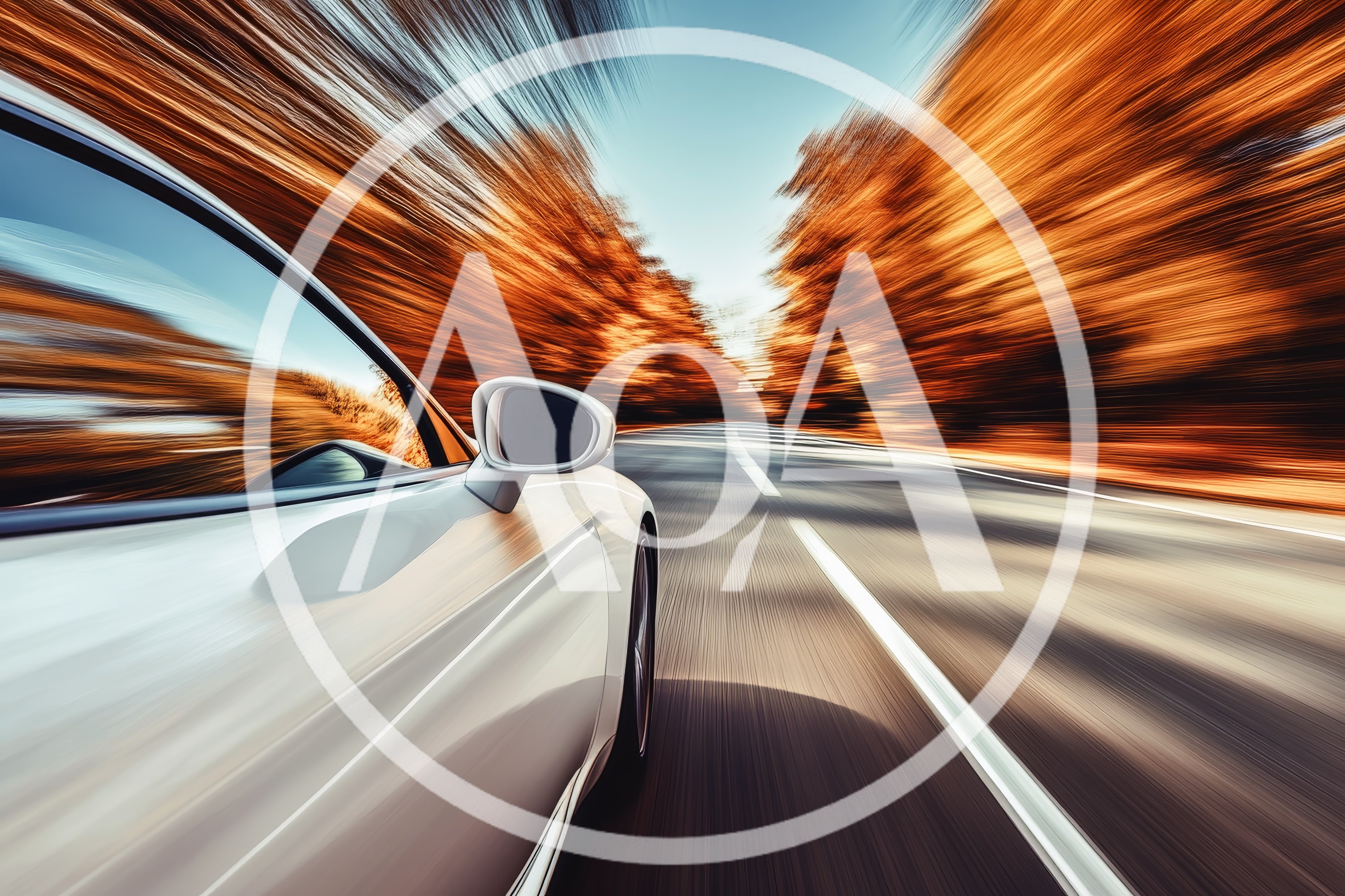 White Sports Car Driving Fast Through Autumn Forest