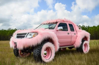 Pink Furry Off-Road Truck in Grassy Field