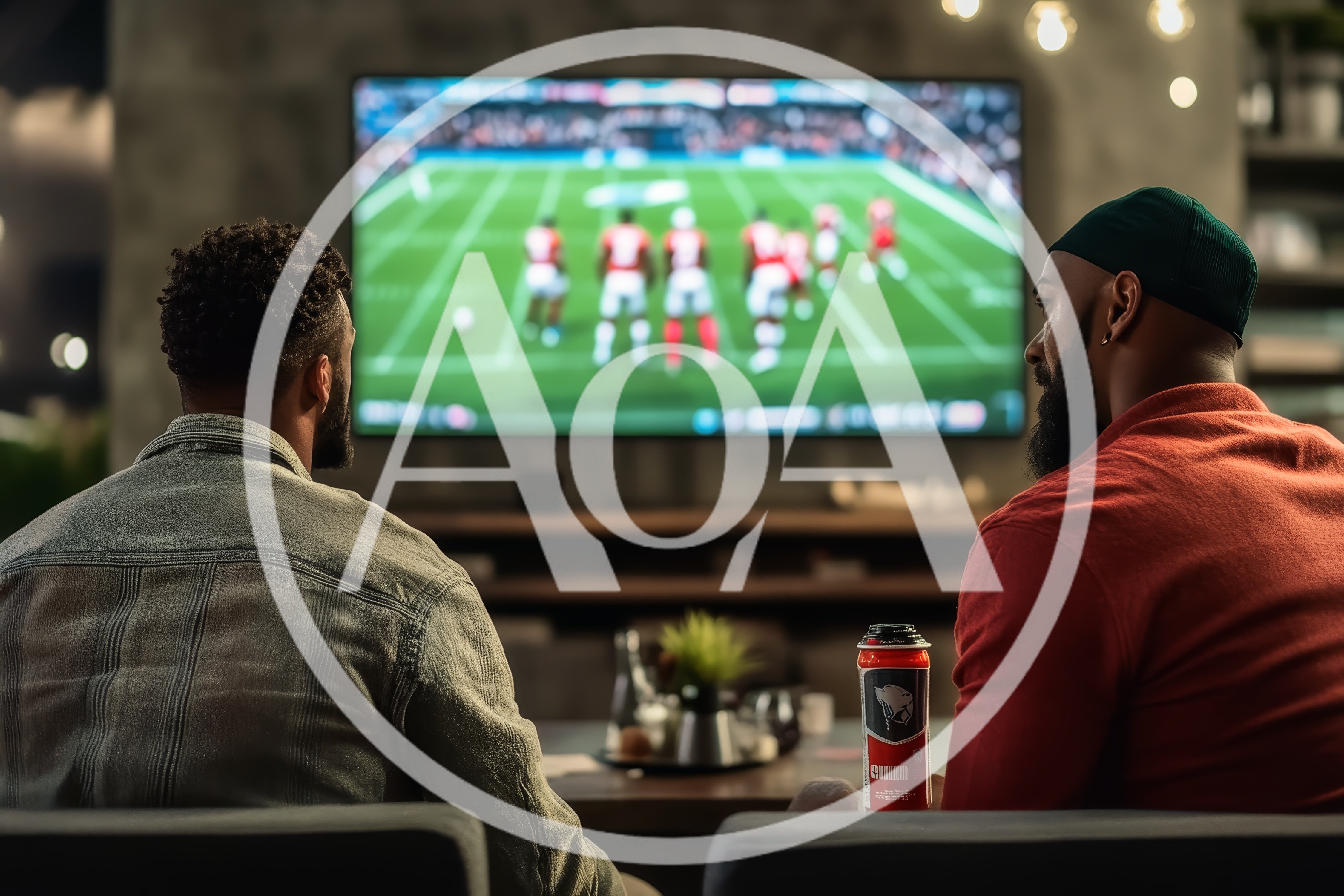 Two Men Watching American Football Game On Television