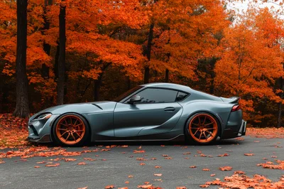Modified Grey Toyota Supra Parked In Autumn Forest