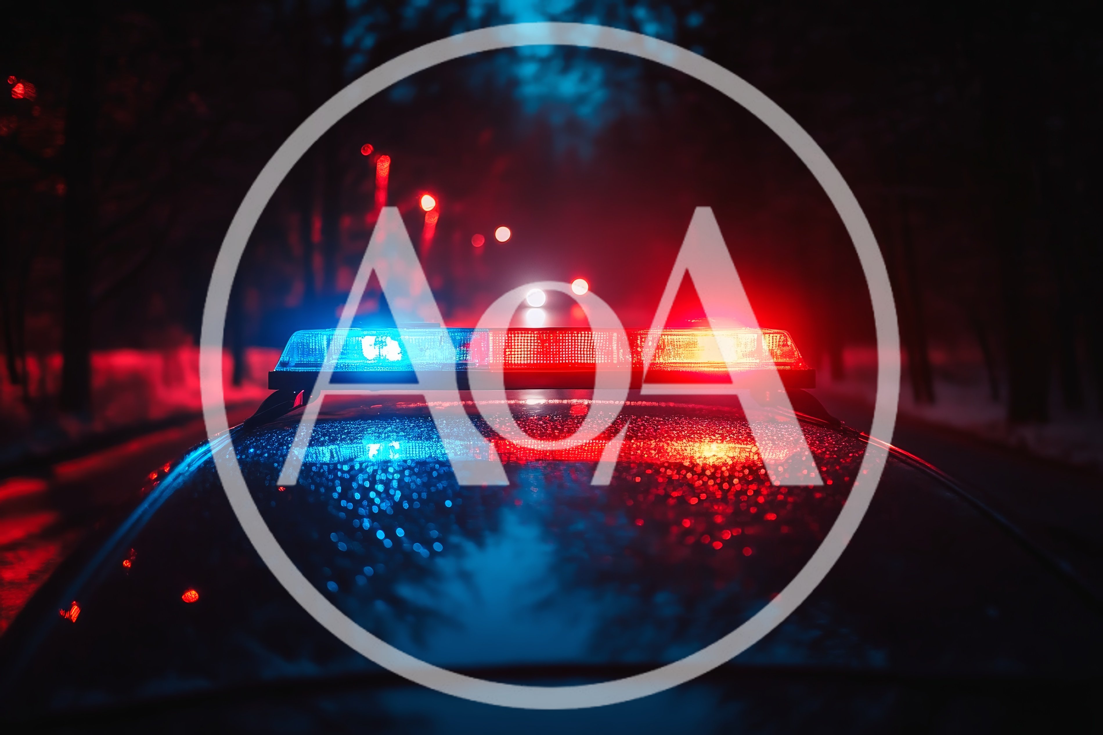 Police Car Emergency Lights Flashing At Night