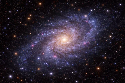 Triangulum Galaxy Spiral Structure In Deep Space