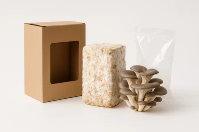 Mushroom Growing Kit With Substrate Block And Oyster Mushrooms
