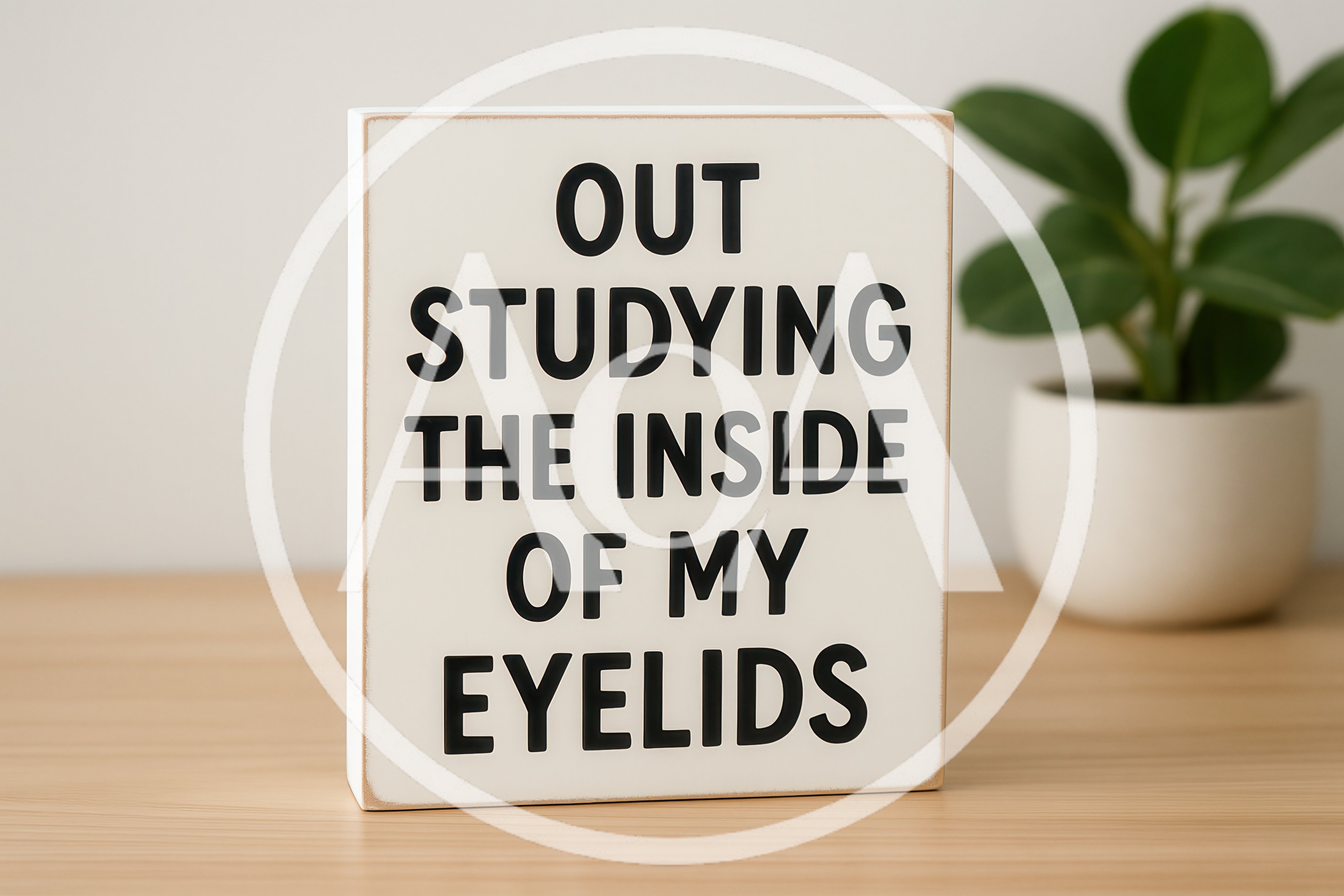 Wooden Sign With Humorous Text About Sleeping