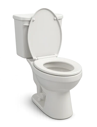 White Ceramic Toilet With Open Lid