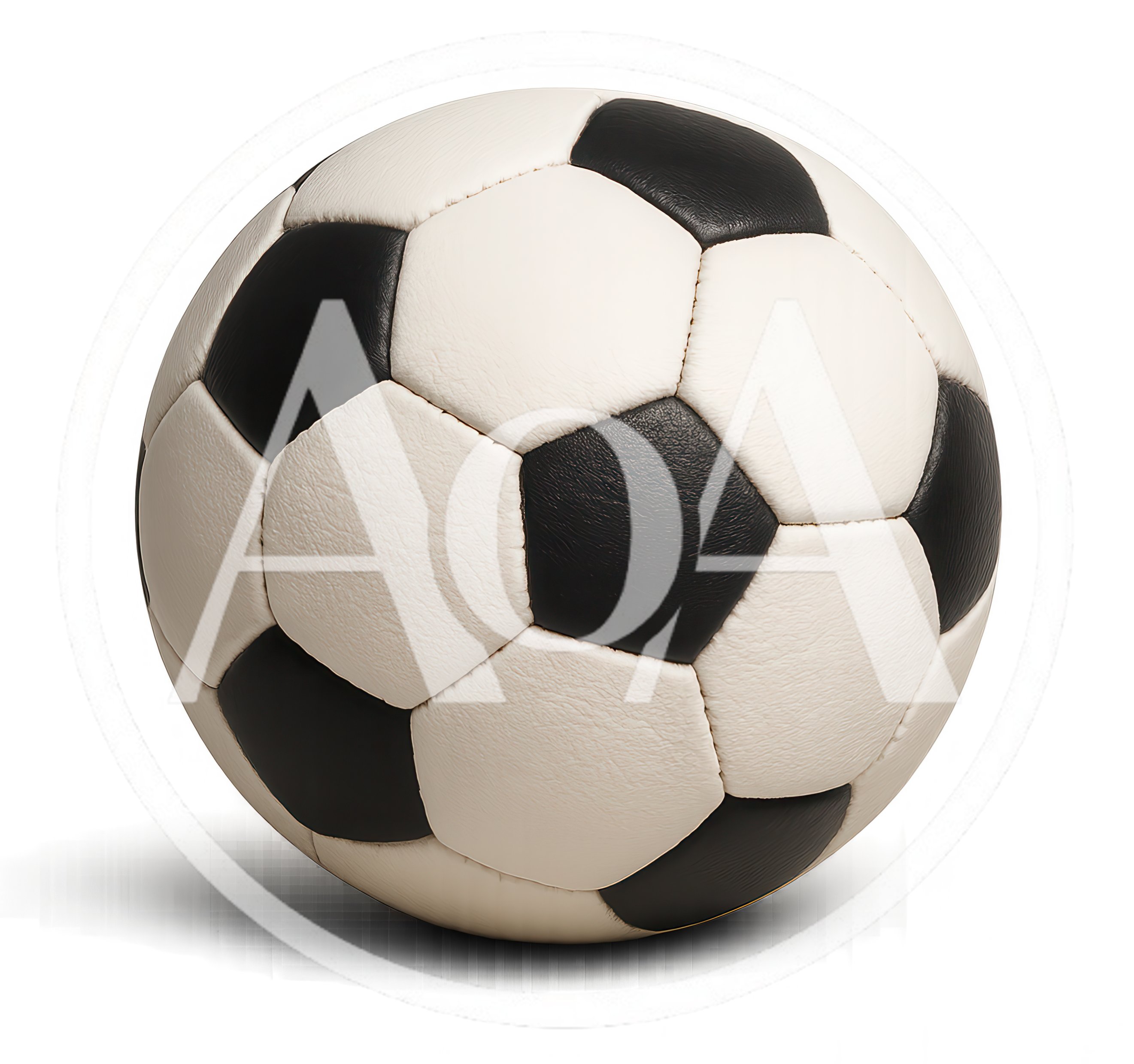 Classic Black And White Soccer Ball Isolated