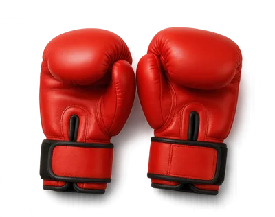 Pair Of Red Leather Boxing Gloves