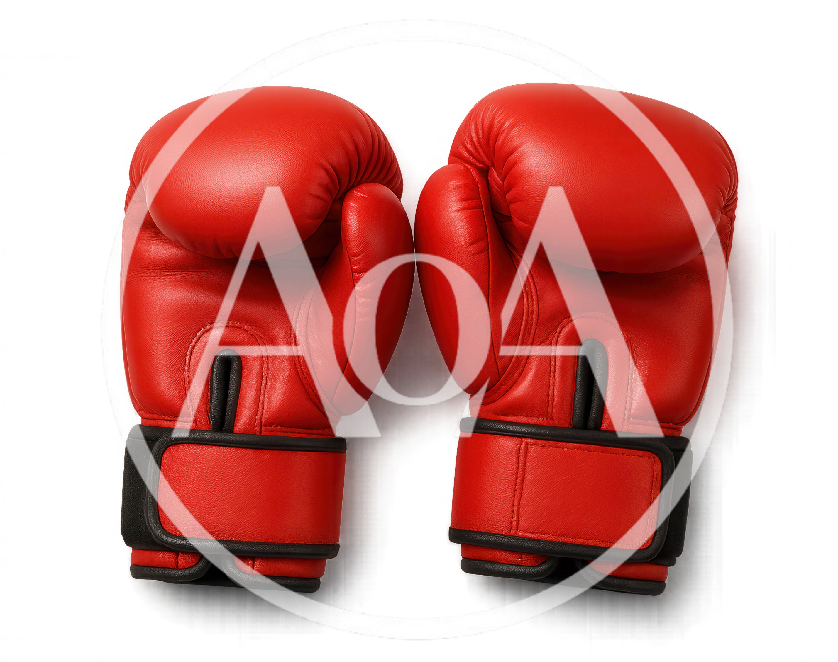 Pair Of Red Leather Boxing Gloves