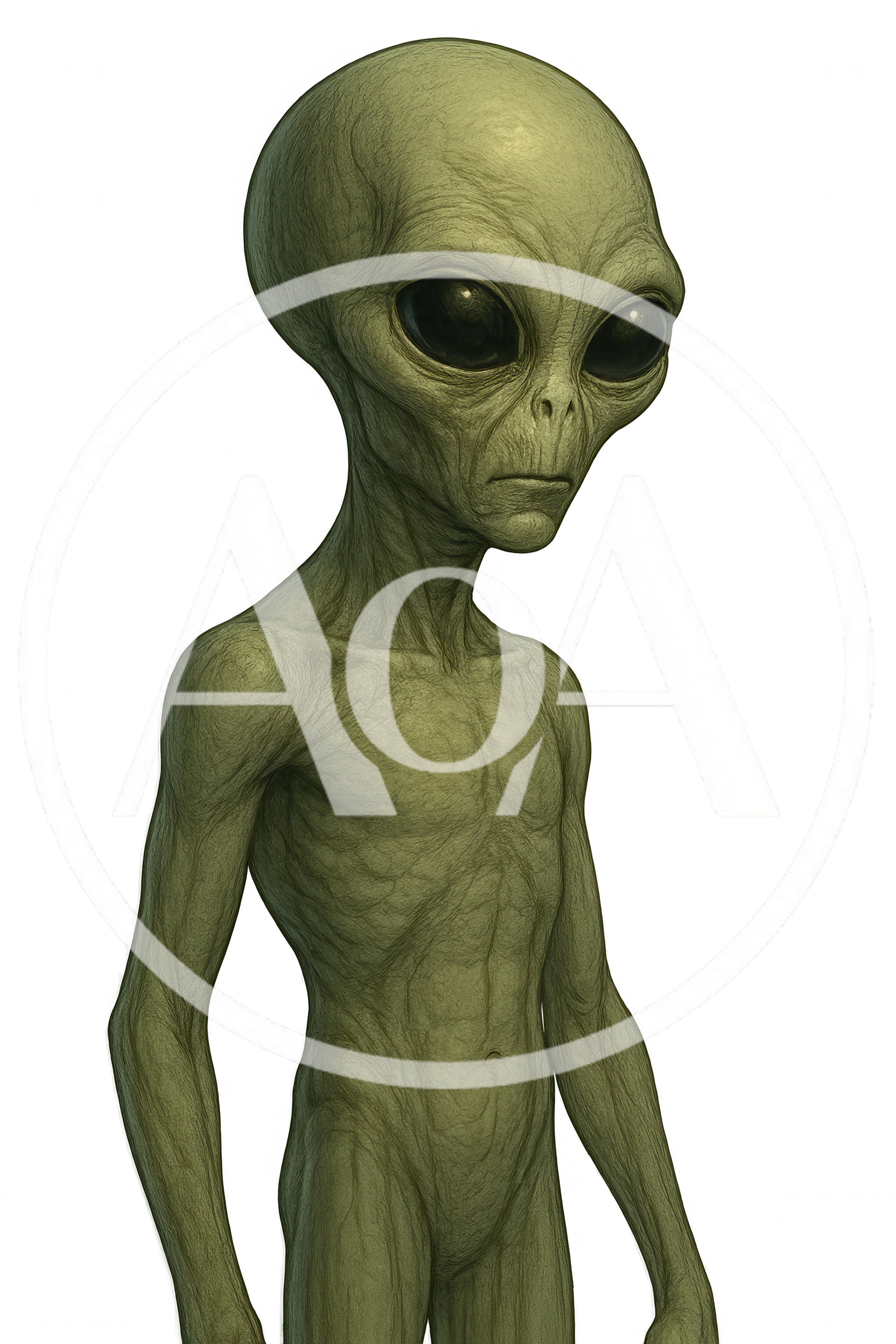 Realistic Extraterrestrial Being With Large Black Eyes