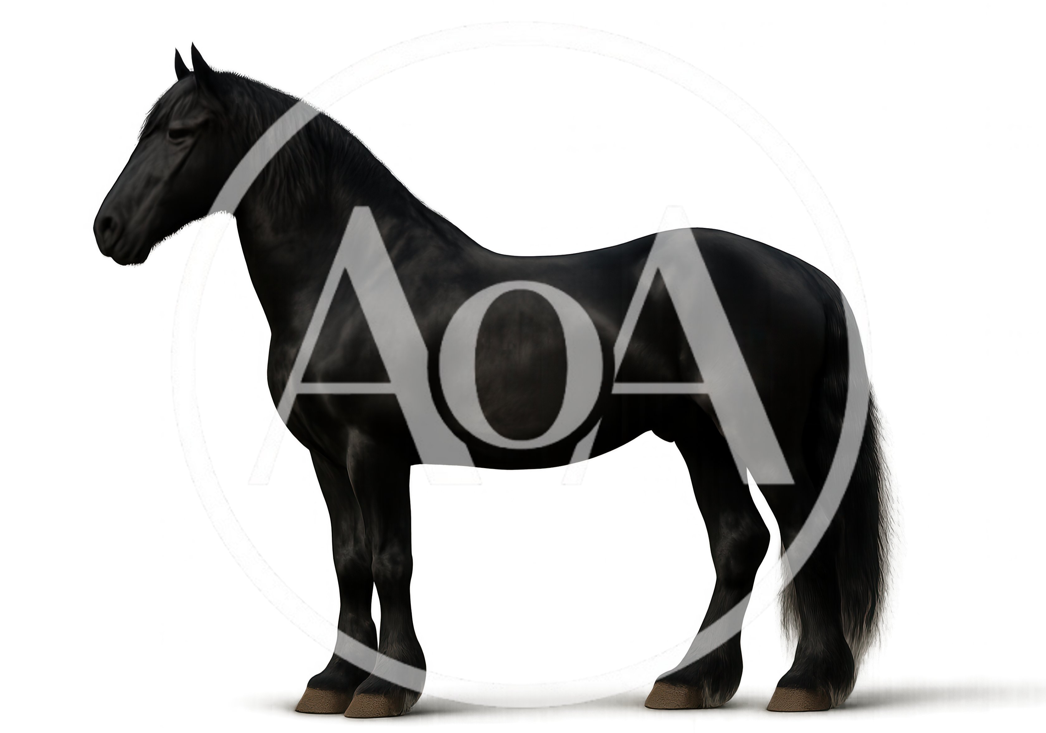 Full Body Portrait Of A Majestic Black Friesian Horse