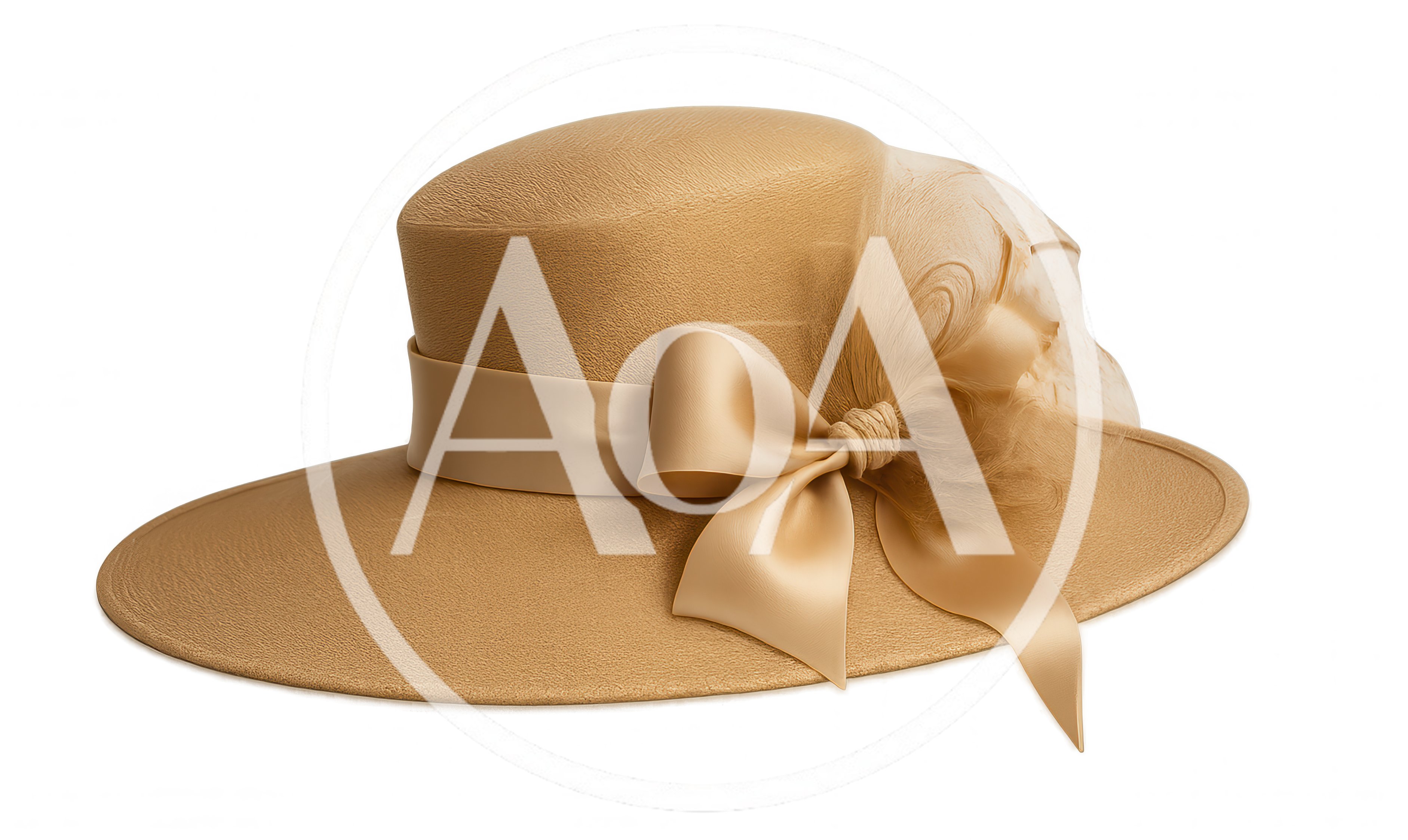 Elegant Beige Felt Women's Dress Hat