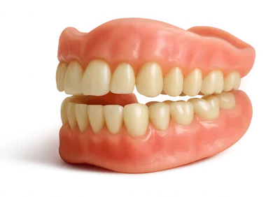 Full Set Of Dentures On White Background