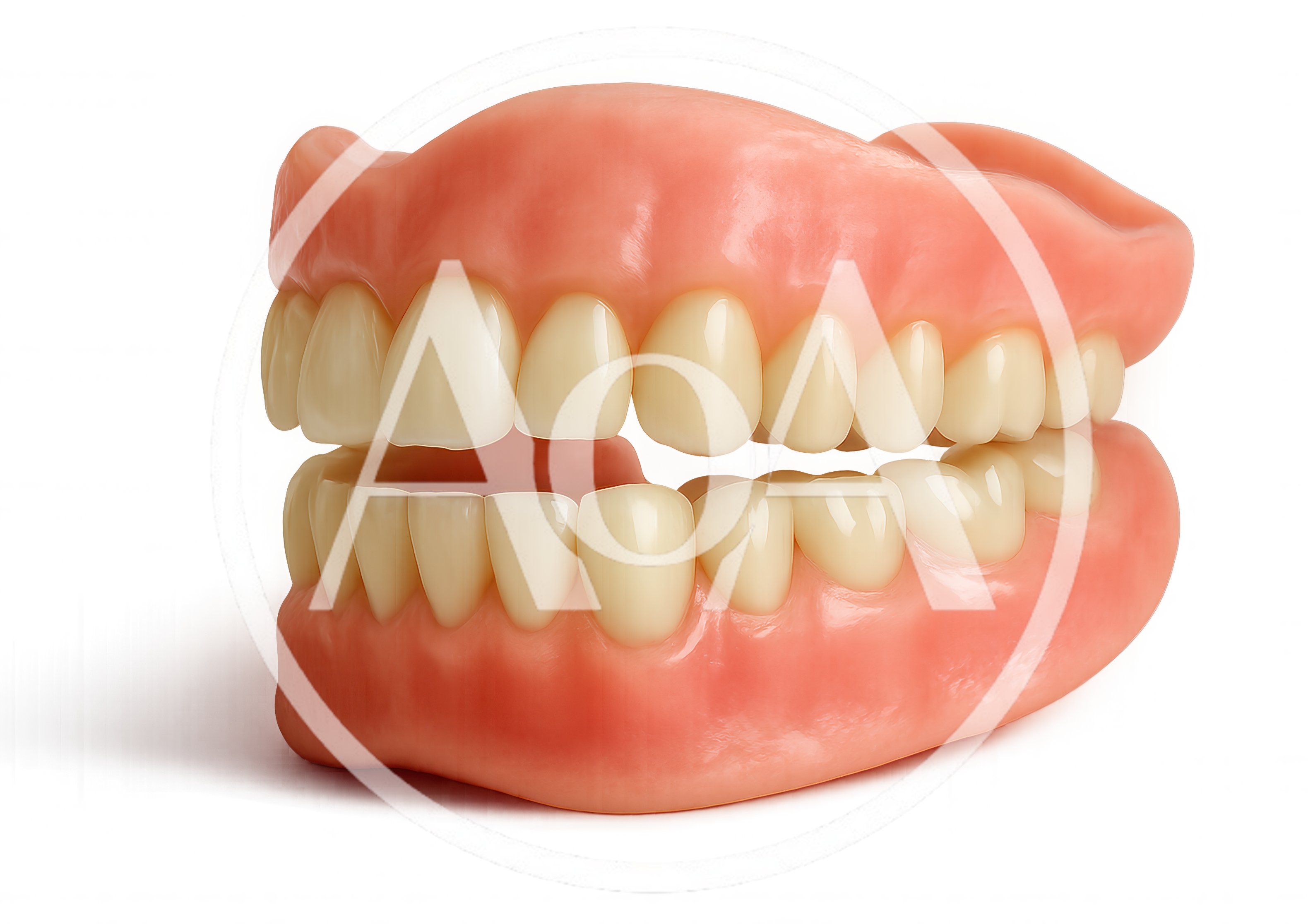 Full Set Of Dentures On White Background