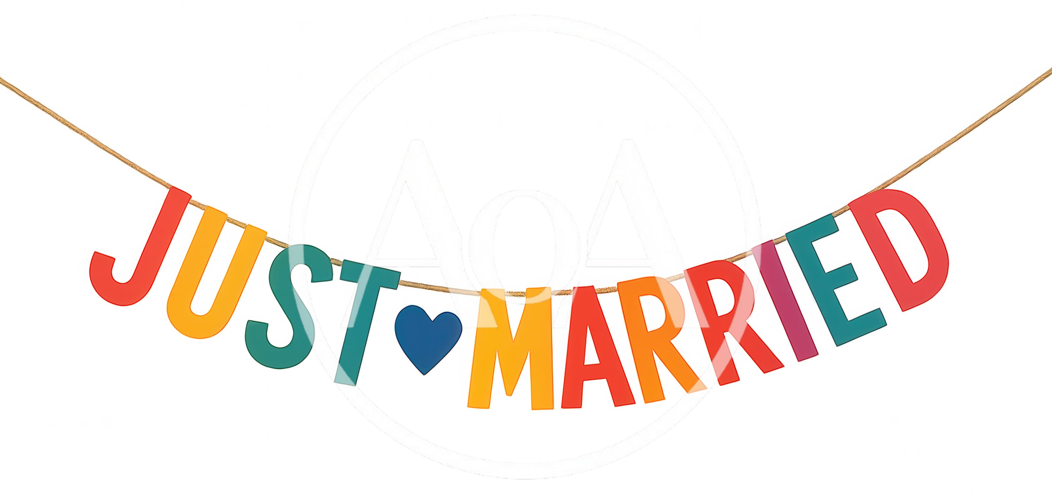Just Married Colorful Hanging Letter Banner