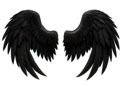 Pair Of Large Black Angel Wings Isolated On White