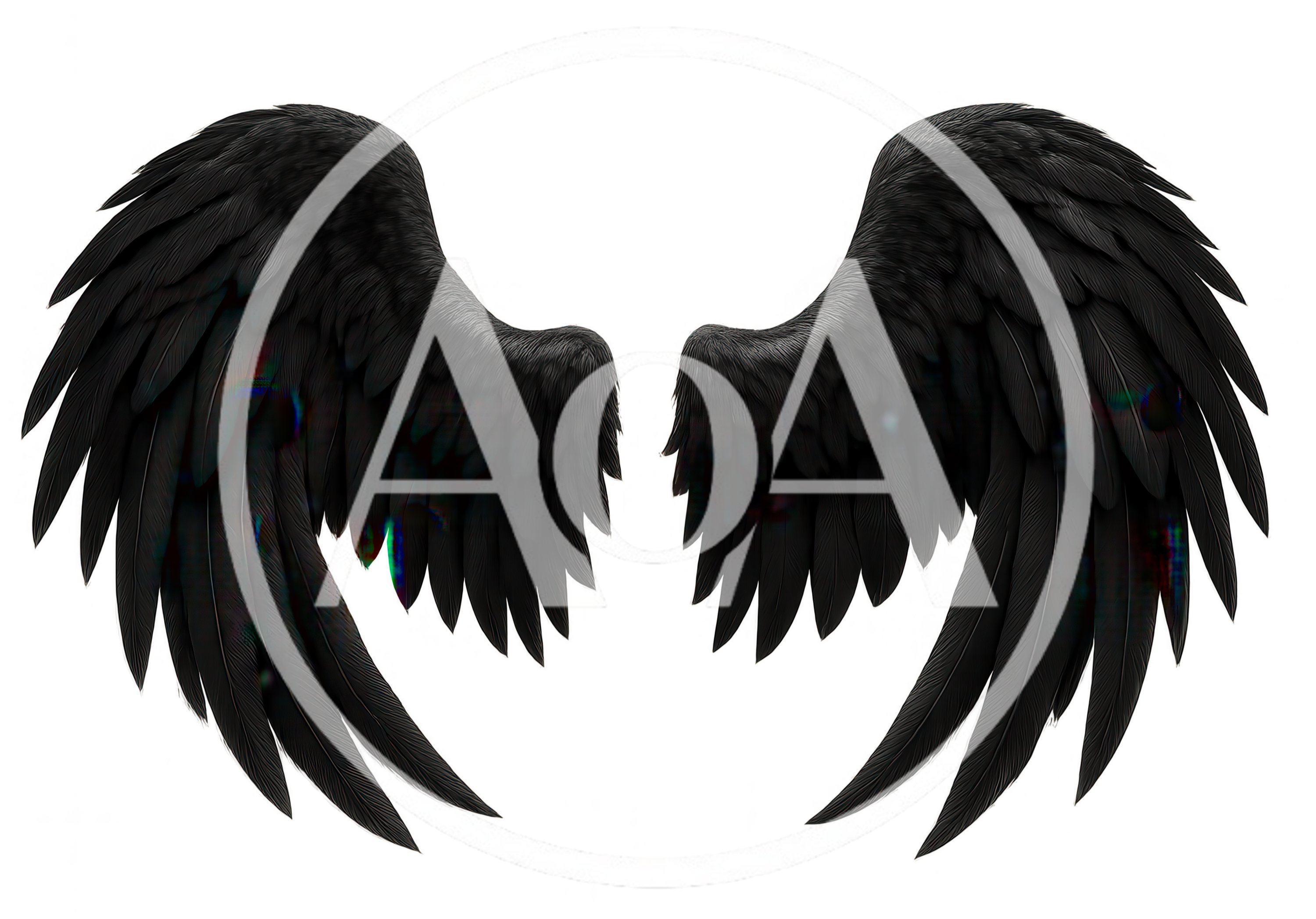 Pair Of Large Black Angel Wings Isolated On White