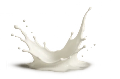 Dynamic White Milk Splash Isolated On White Background