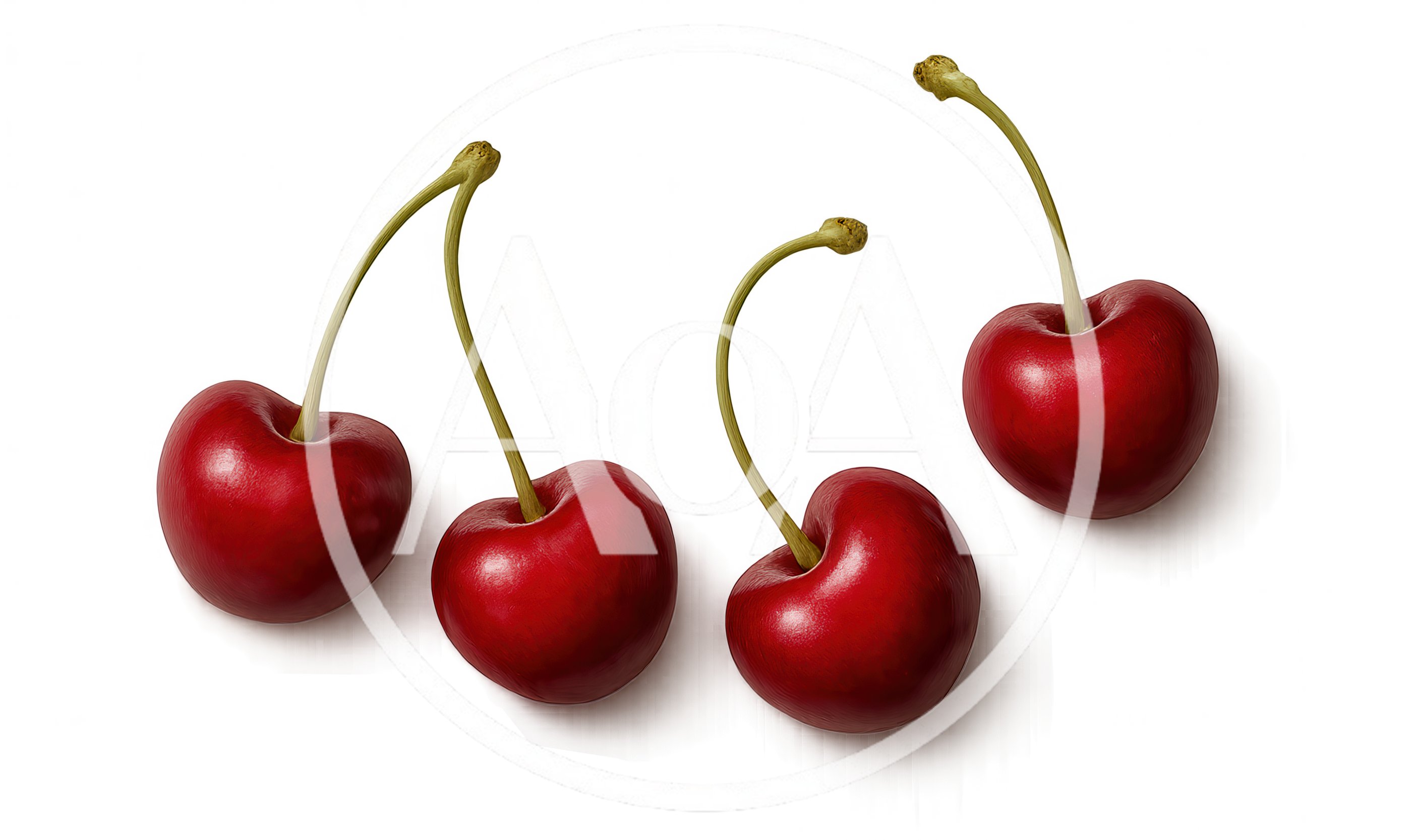 Four Fresh Red Cherries With Stems On White Background