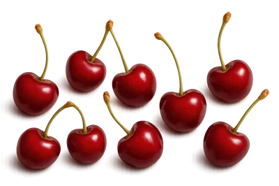 Group Of Fresh Red Cherries With Stems