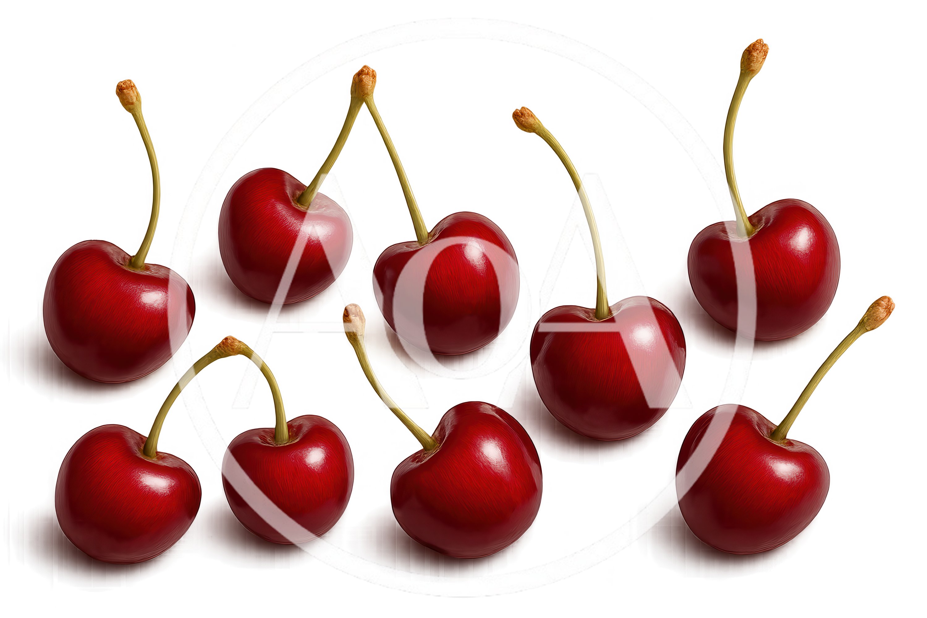 Group Of Fresh Red Cherries With Stems