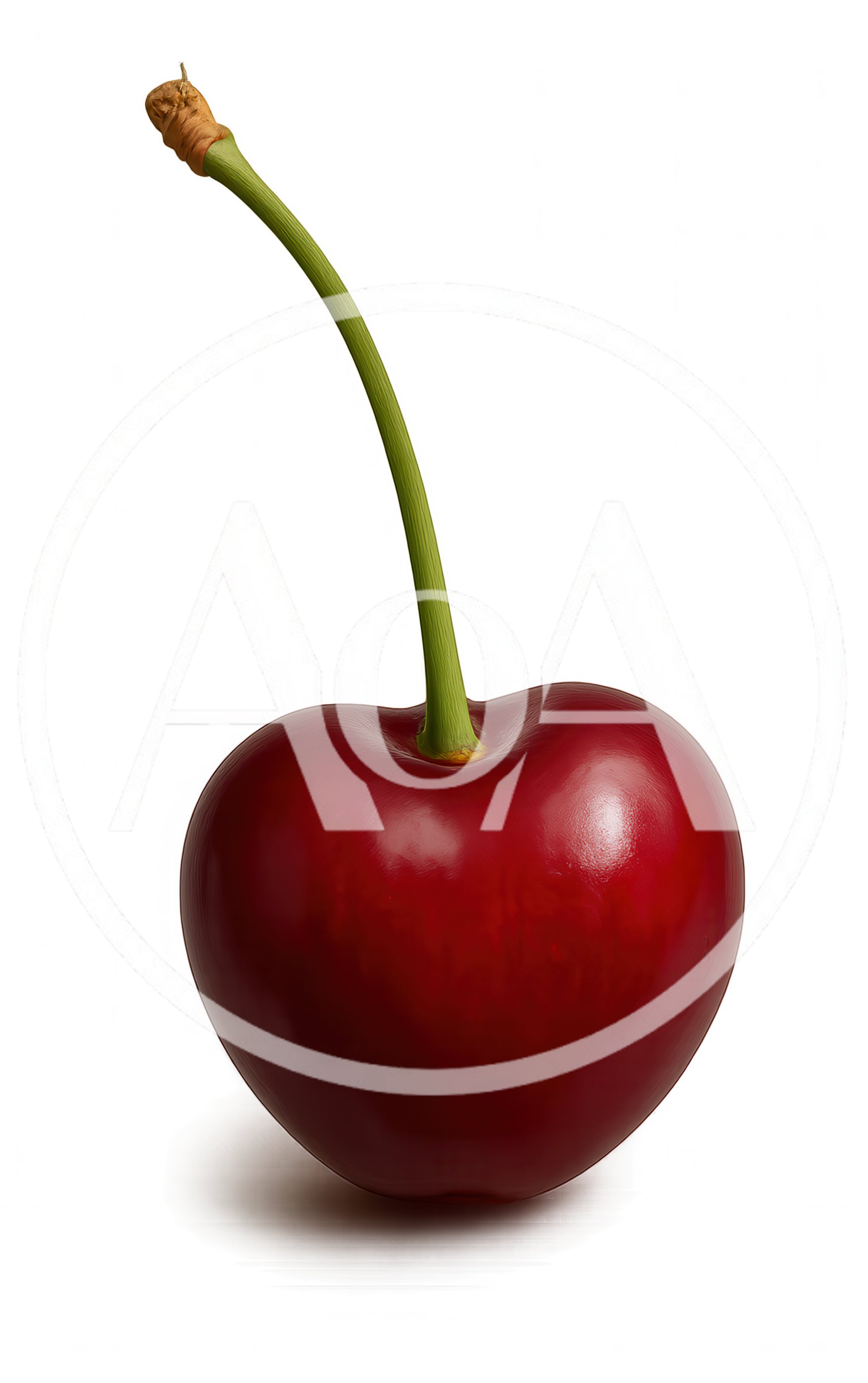 Single Fresh Red Cherry With Stem
