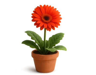 Single Orange Gerbera Daisy In A Terracotta Pot