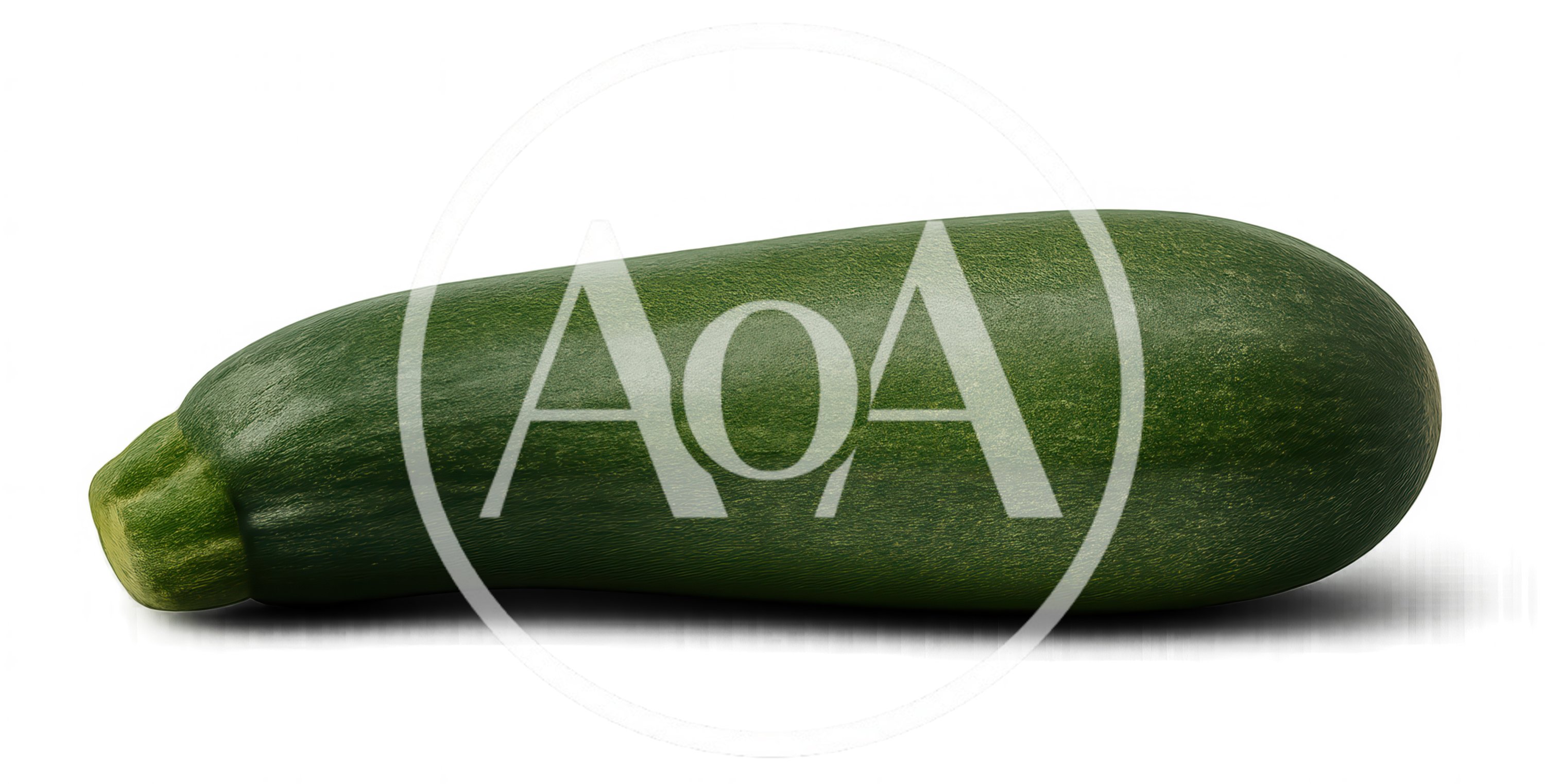 Single Fresh Green Zucchini Isolated On White Background
