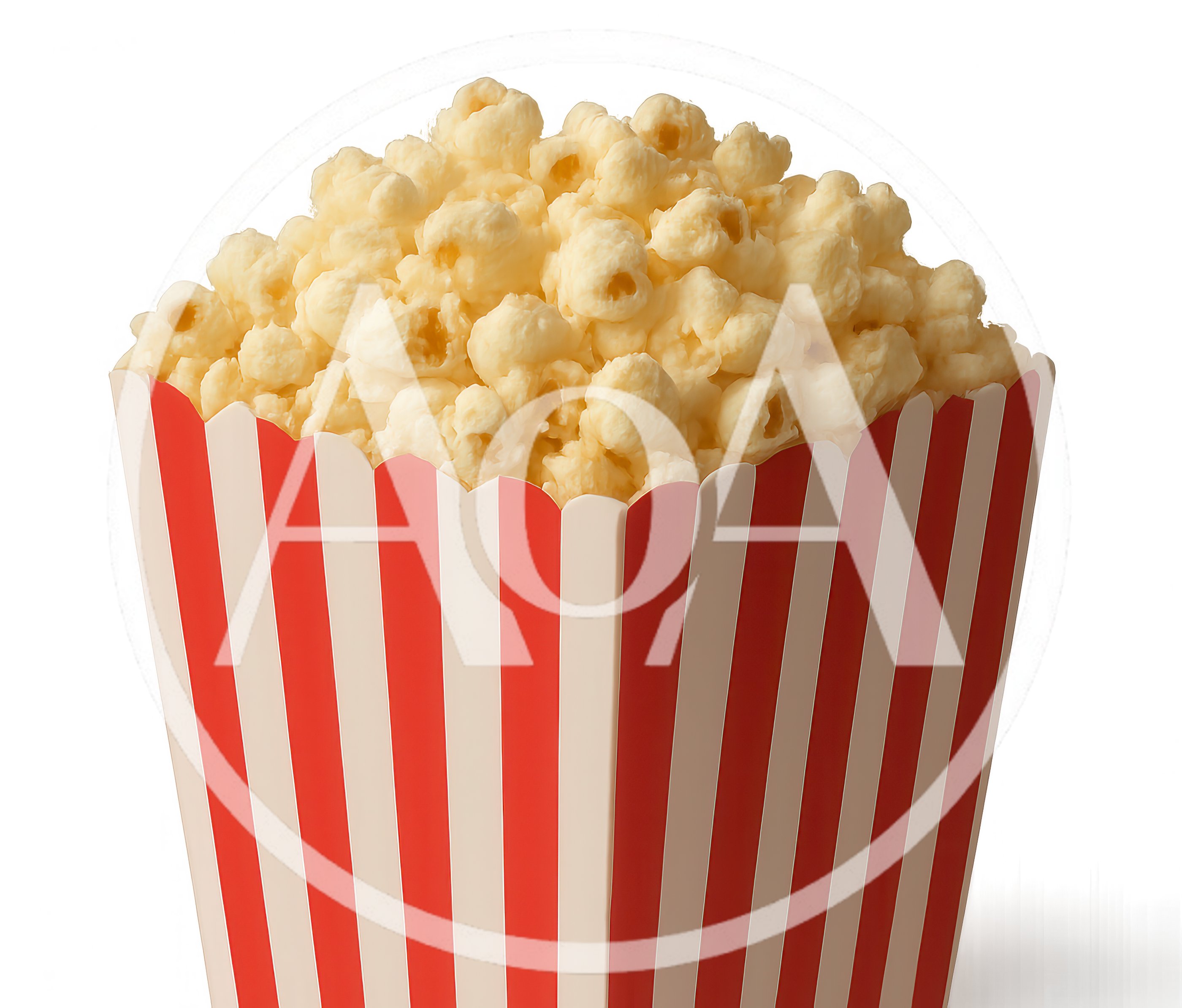 Classic Red and White Striped Popcorn Bucket