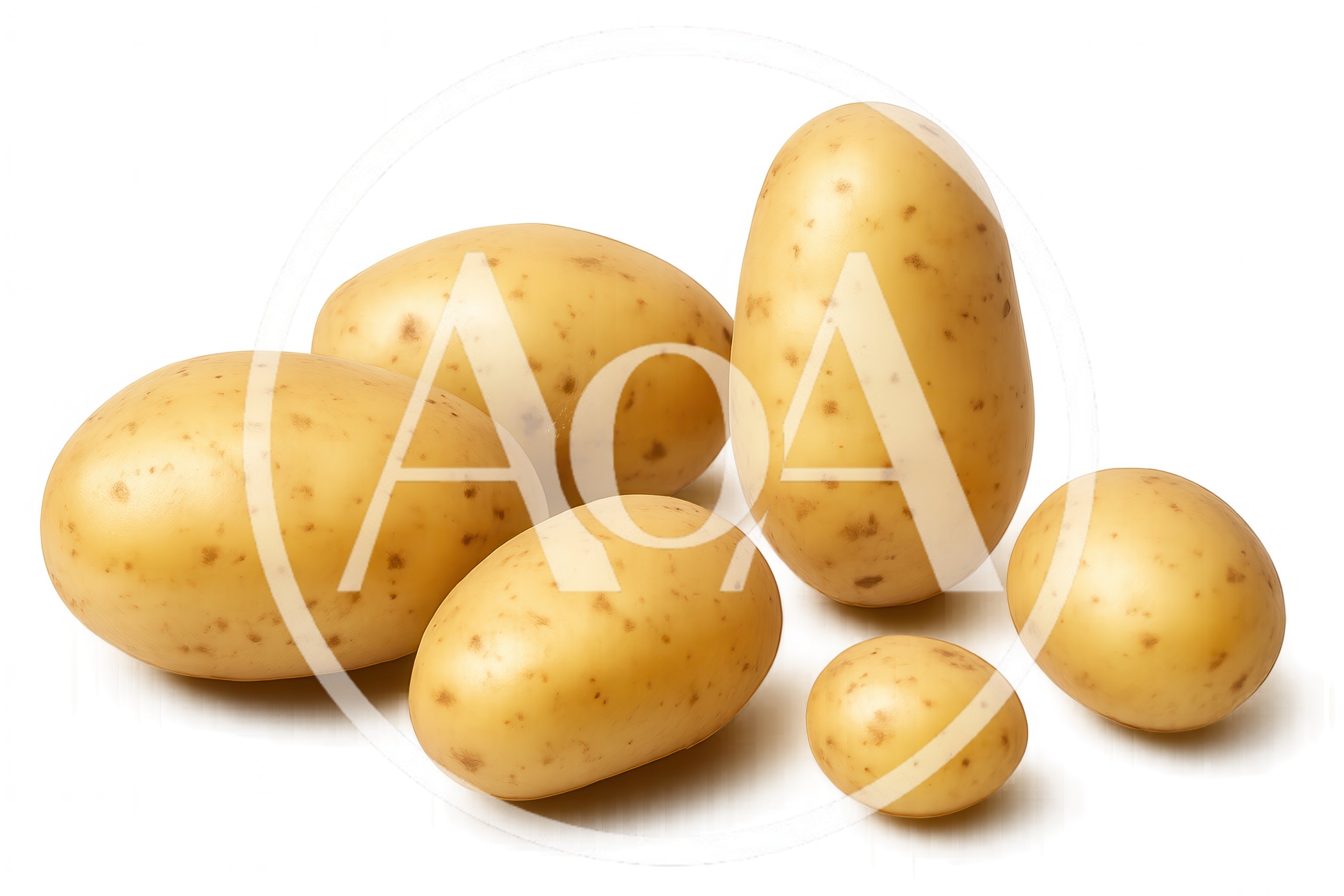 Group Of Fresh Raw Yellow Potatoes On White Background
