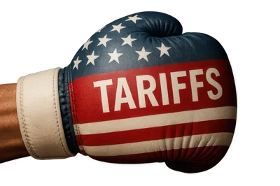 Boxing Glove With United States Flag Pattern