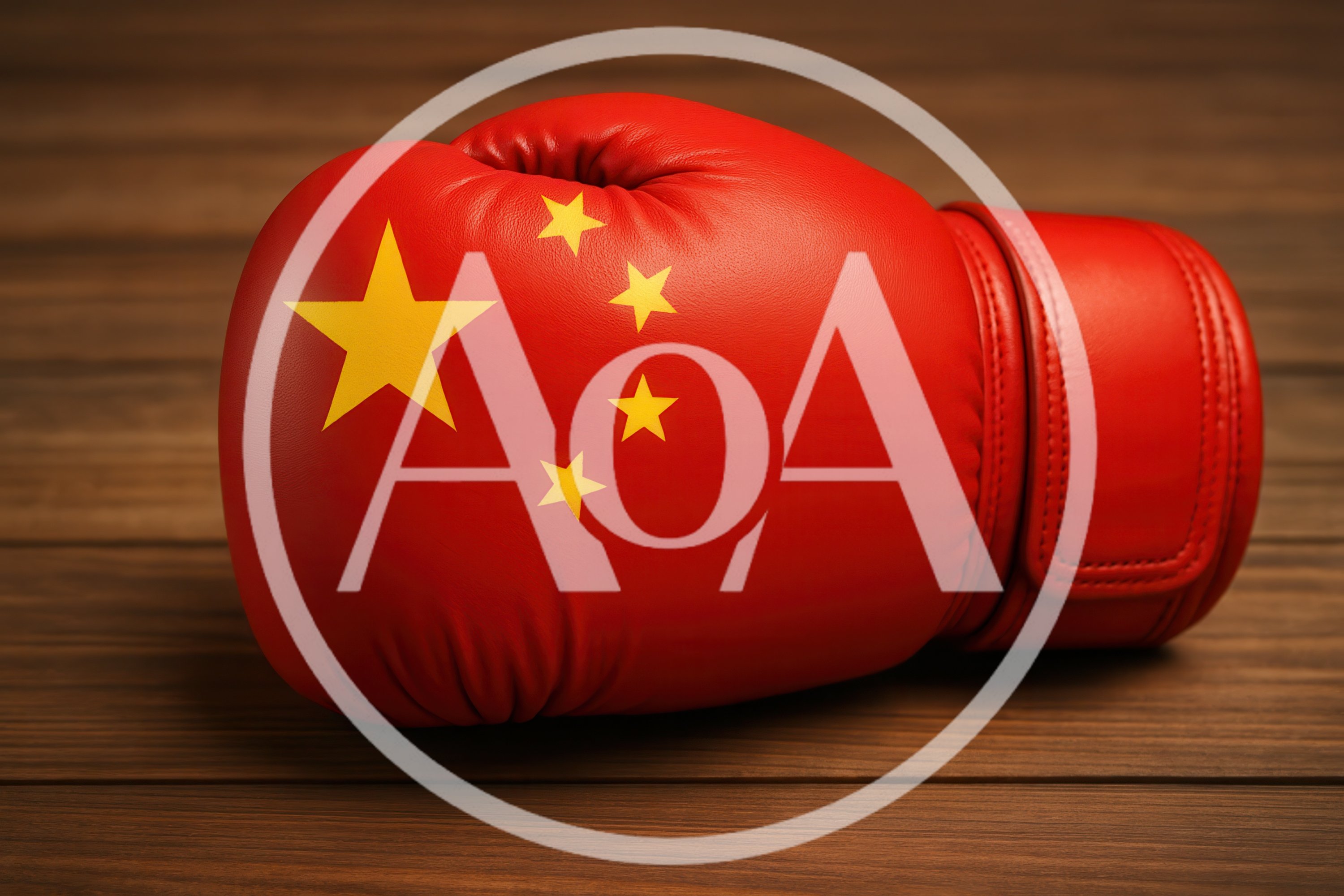 Red Boxing Glove With Chinese Flag Design