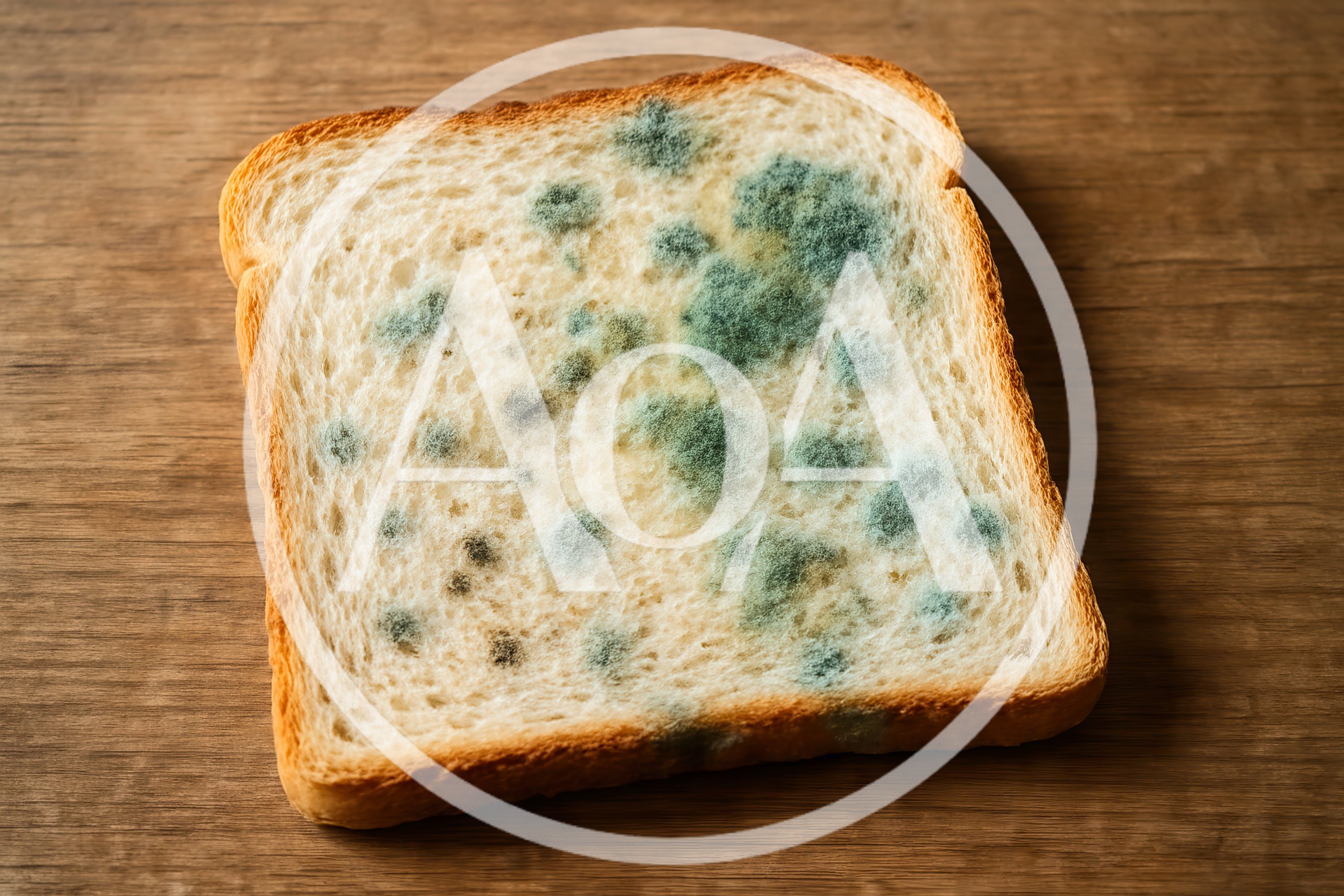Single Slice Of Moldy Bread On Wooden Surface