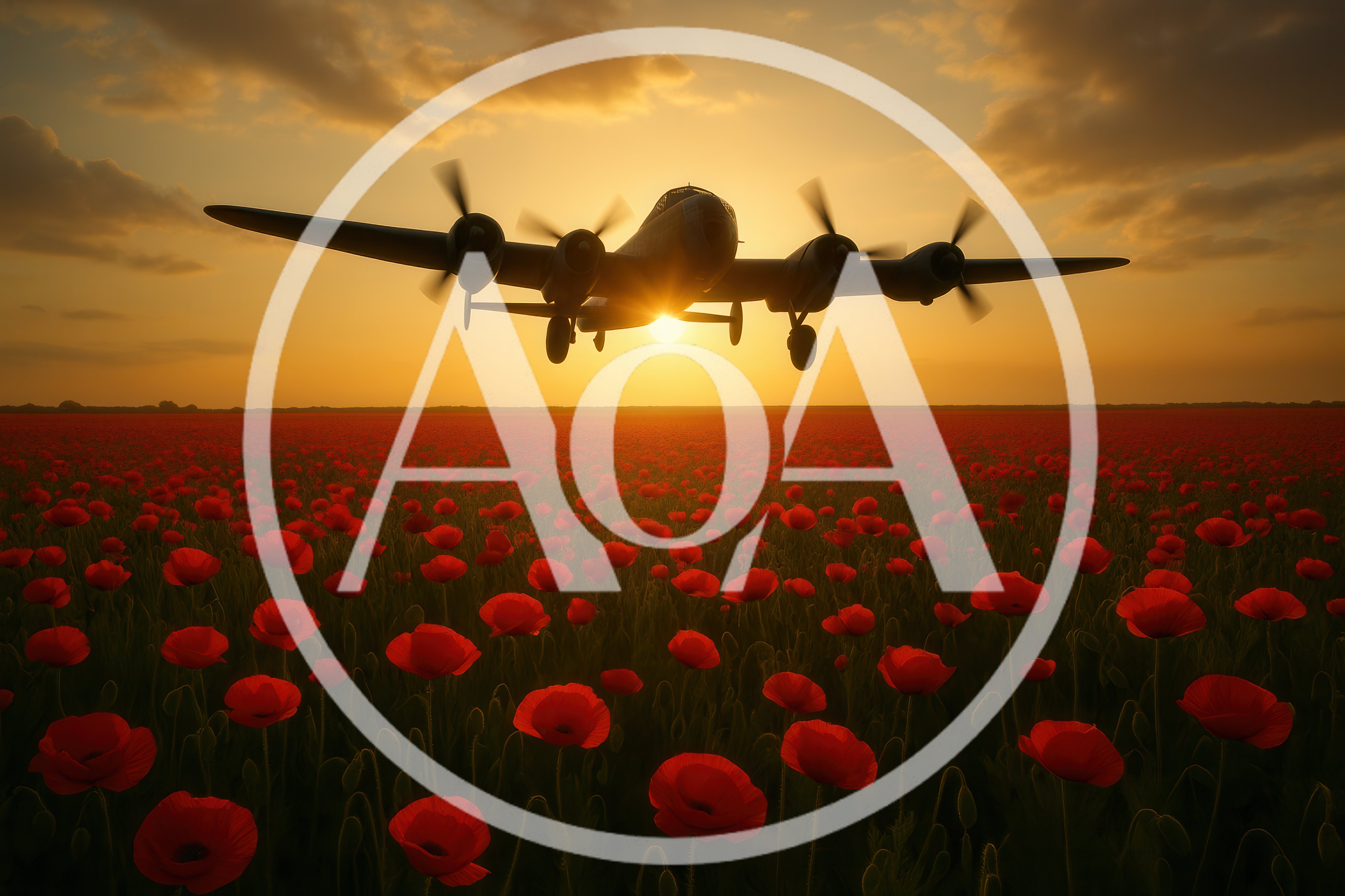 Vintage Bomber Aircraft Flying Over A Poppy Field