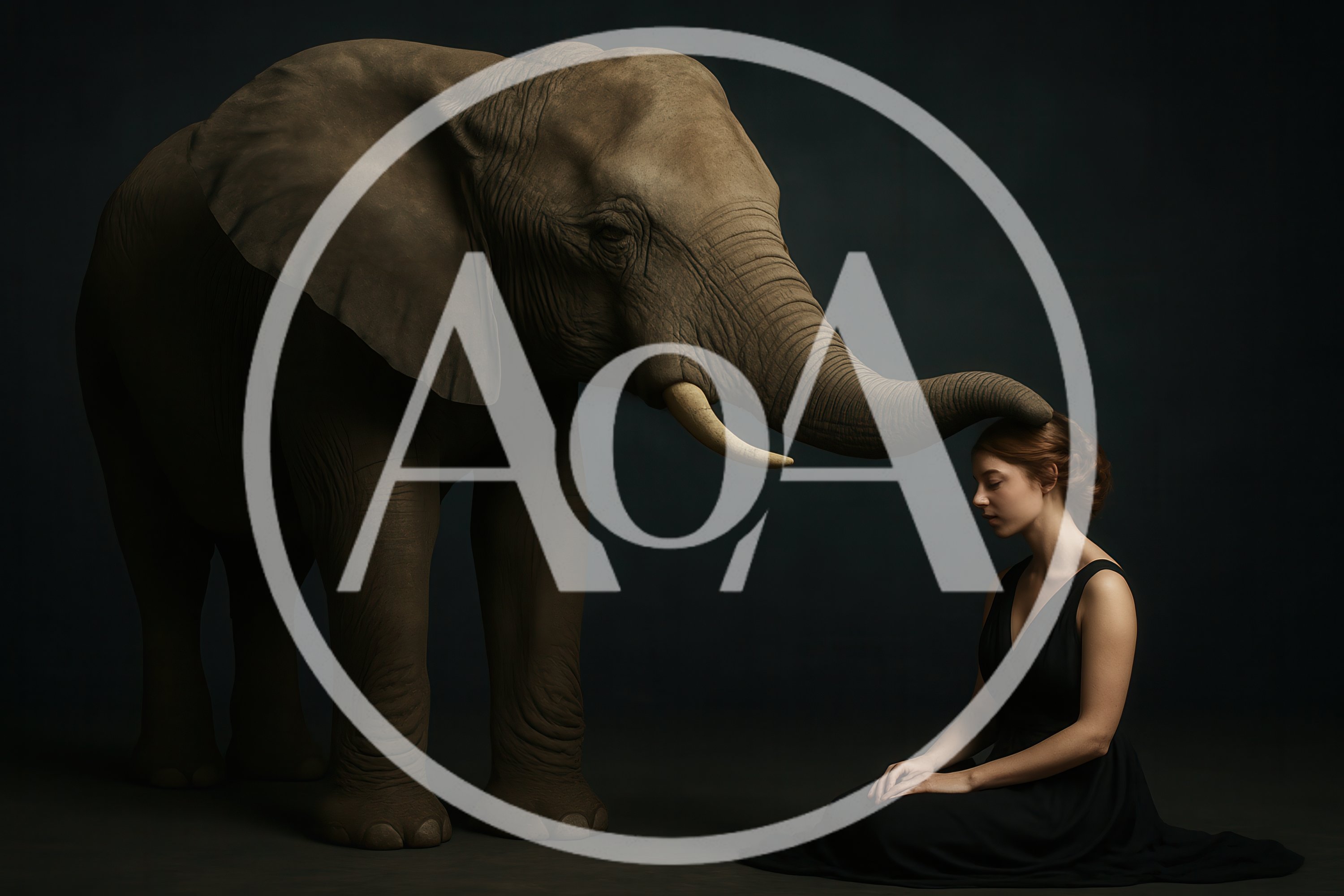 Woman Sitting With An Elephant In Studio