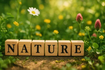 Wooden Blocks Spelling Nature In A Lush Meadow