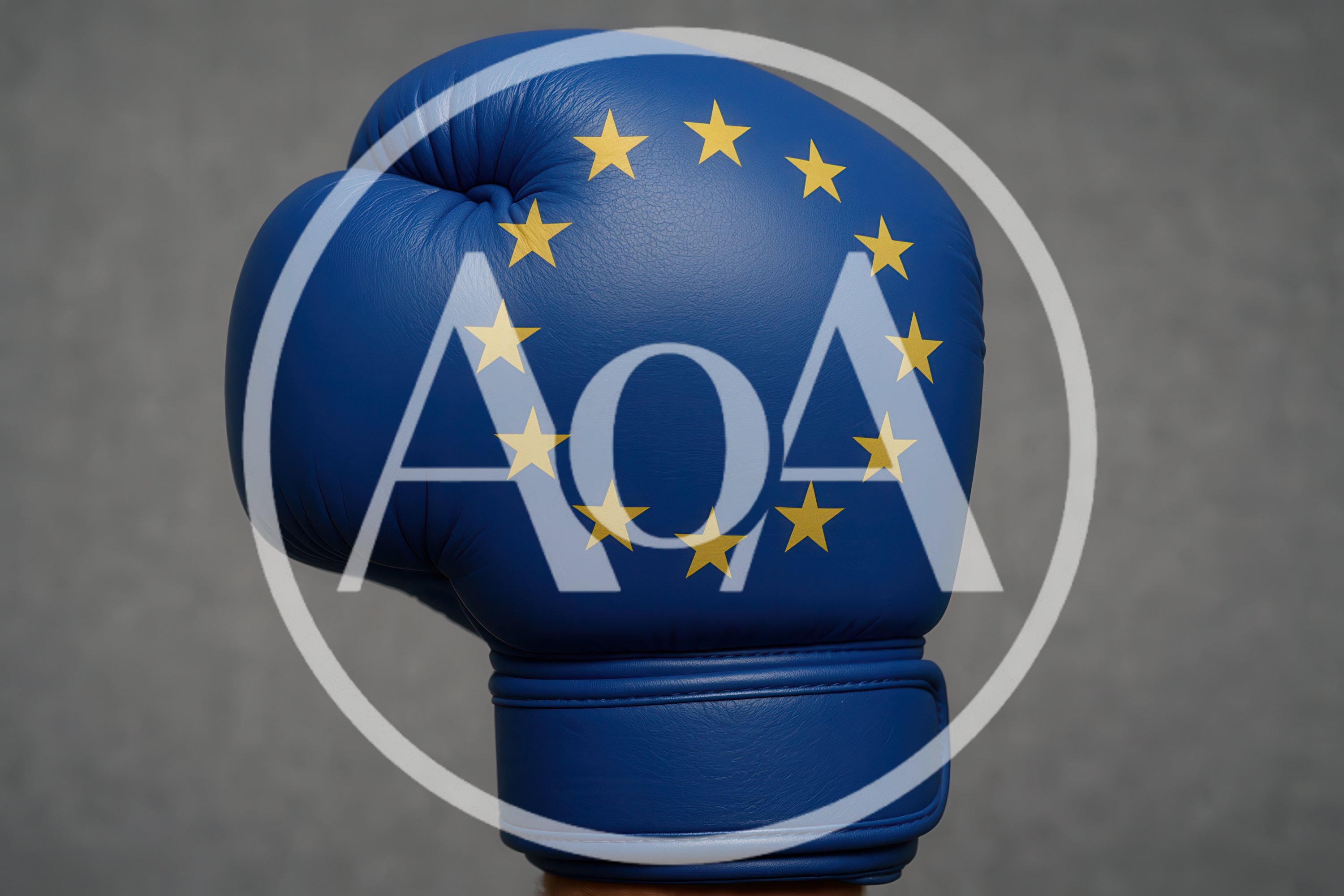 European Union Flag Boxing Glove