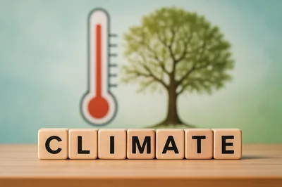 Wooden Blocks Spelling Climate With Thermometer And Tree